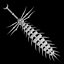 Skeletal Rapier