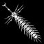 Skeletal Rapier