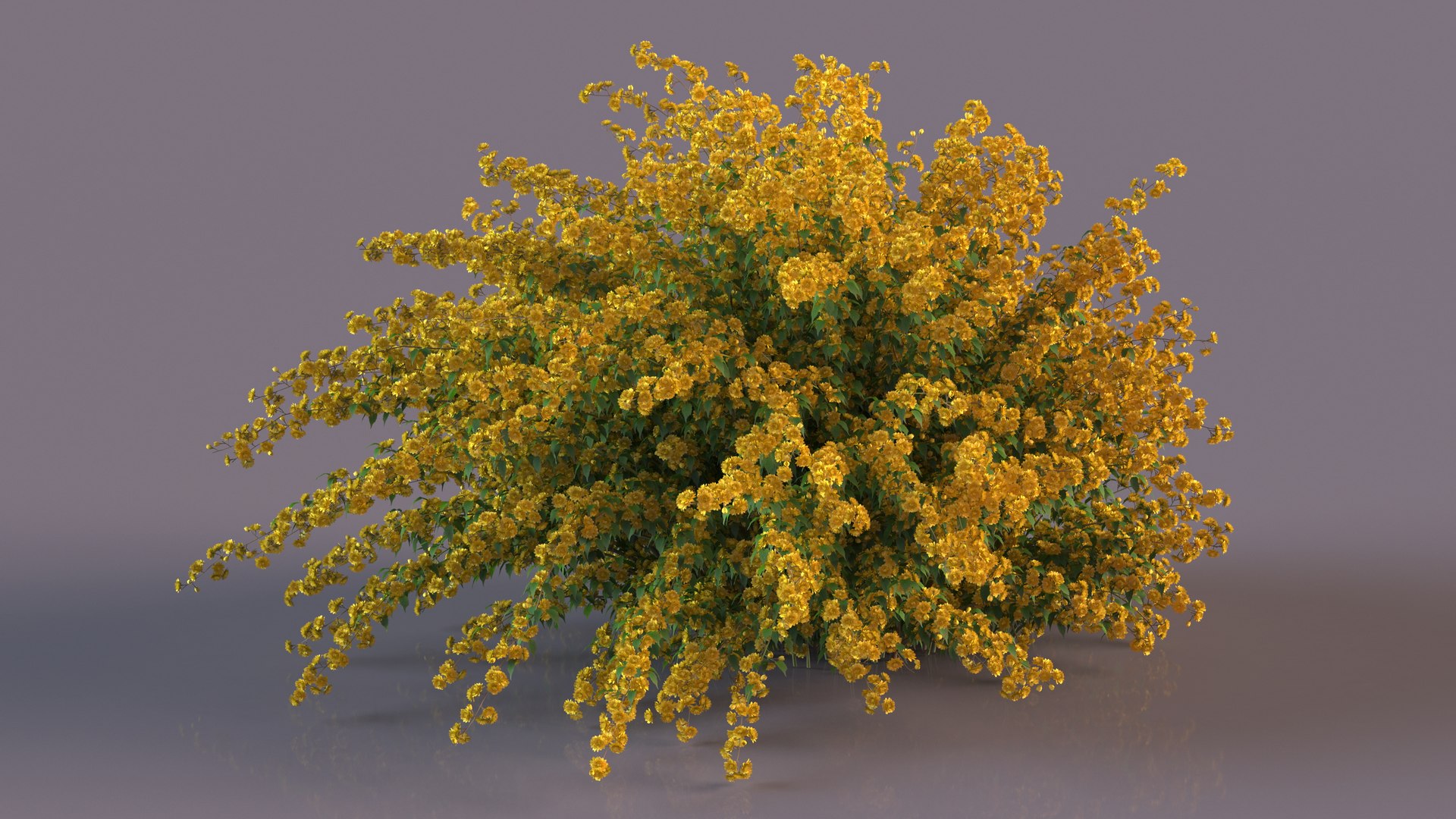 Bushes Collection 8 3D model https://p.turbosquid.com/ts-thumb/zp/4HtFkf/0Z/bushescollection83dmodel016/jpg/1690790421/1920x1080/fit_q87/8a7823468ba5e11c8ae04006d1cc43684c54ec25/bushescollection83dmodel016.jpg