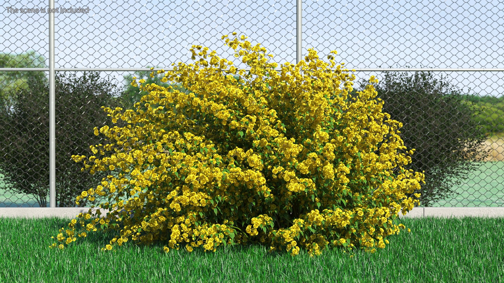 Bushes Collection 8 3D model https://p.turbosquid.com/ts-thumb/zp/4HtFkf/1n/bushescollection83dmodel012/jpg/1690790400/1920x1080/fit_q87/721f406c87110c5790dc495810eb3e28e4b130c3/bushescollection83dmodel012.jpg