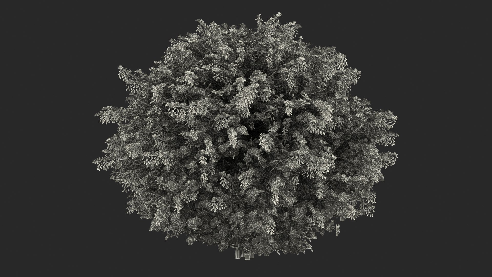 Bushes Collection 8 3D model https://p.turbosquid.com/ts-thumb/zp/4HtFkf/2v/bushescollection83dmodel119/jpg/1690790872/1920x1080/fit_q87/c2319874777404f1dad0592bba6da8cd5b2c988a/bushescollection83dmodel119.jpg