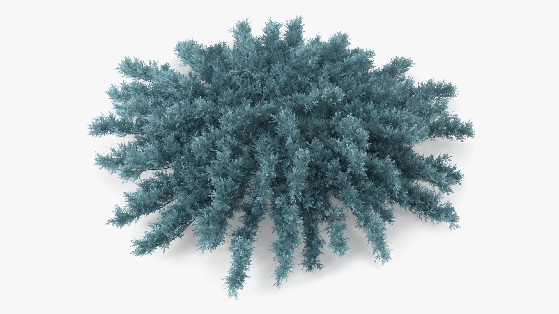 Bushes Collection 8 3D model https://p.turbosquid.com/ts-thumb/zp/4HtFkf/36/bushescollection83dmodel064/jpg/1690790631/1920x1080/fit_q87/854552d62a4510c267765226eb2d192c8cbf768b/bushescollection83dmodel064.jpg