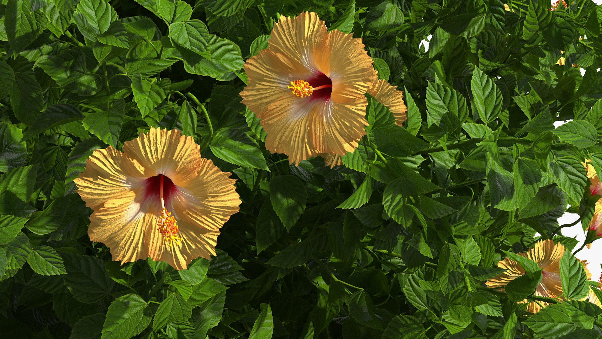 Bushes Collection 8 3D model https://p.turbosquid.com/ts-thumb/zp/4HtFkf/45/bushescollection83dmodel011/jpg/1690790396/1920x1080/fit_q87/6ffefb17409490a0fdaa2531c638ffc280c8098b/bushescollection83dmodel011.jpg