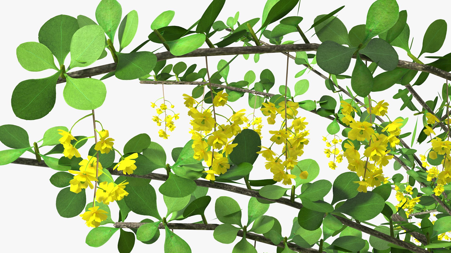 Bushes Collection 8 3D model https://p.turbosquid.com/ts-thumb/zp/4HtFkf/46/bushescollection83dmodel098/jpg/1690790785/1920x1080/fit_q87/95b914245b5ee315c81e3d35ed98f3d11a4a1ac1/bushescollection83dmodel098.jpg