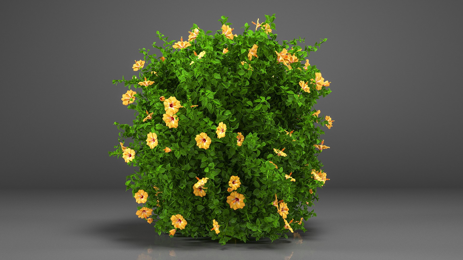 Bushes Collection 8 3D model https://p.turbosquid.com/ts-thumb/zp/4HtFkf/48/bushescollection83dmodel006/jpg/1690790376/1920x1080/fit_q87/7ba13538ea26c853b6c4d858a019411ba17f0430/bushescollection83dmodel006.jpg