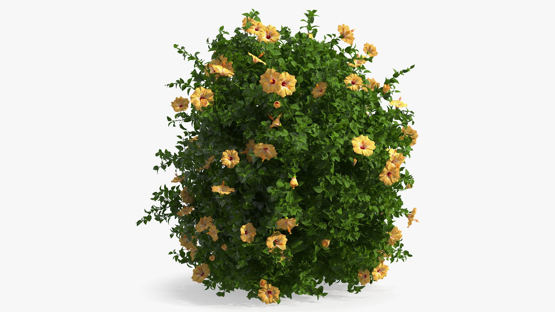 Bushes Collection 8 3D model https://p.turbosquid.com/ts-thumb/zp/4HtFkf/5V/bushescollection83dmodel008/jpg/1690790384/1920x1080/fit_q87/da25ca7fbc5a57c1d28514fc9b85fe3acdb95ecb/bushescollection83dmodel008.jpg