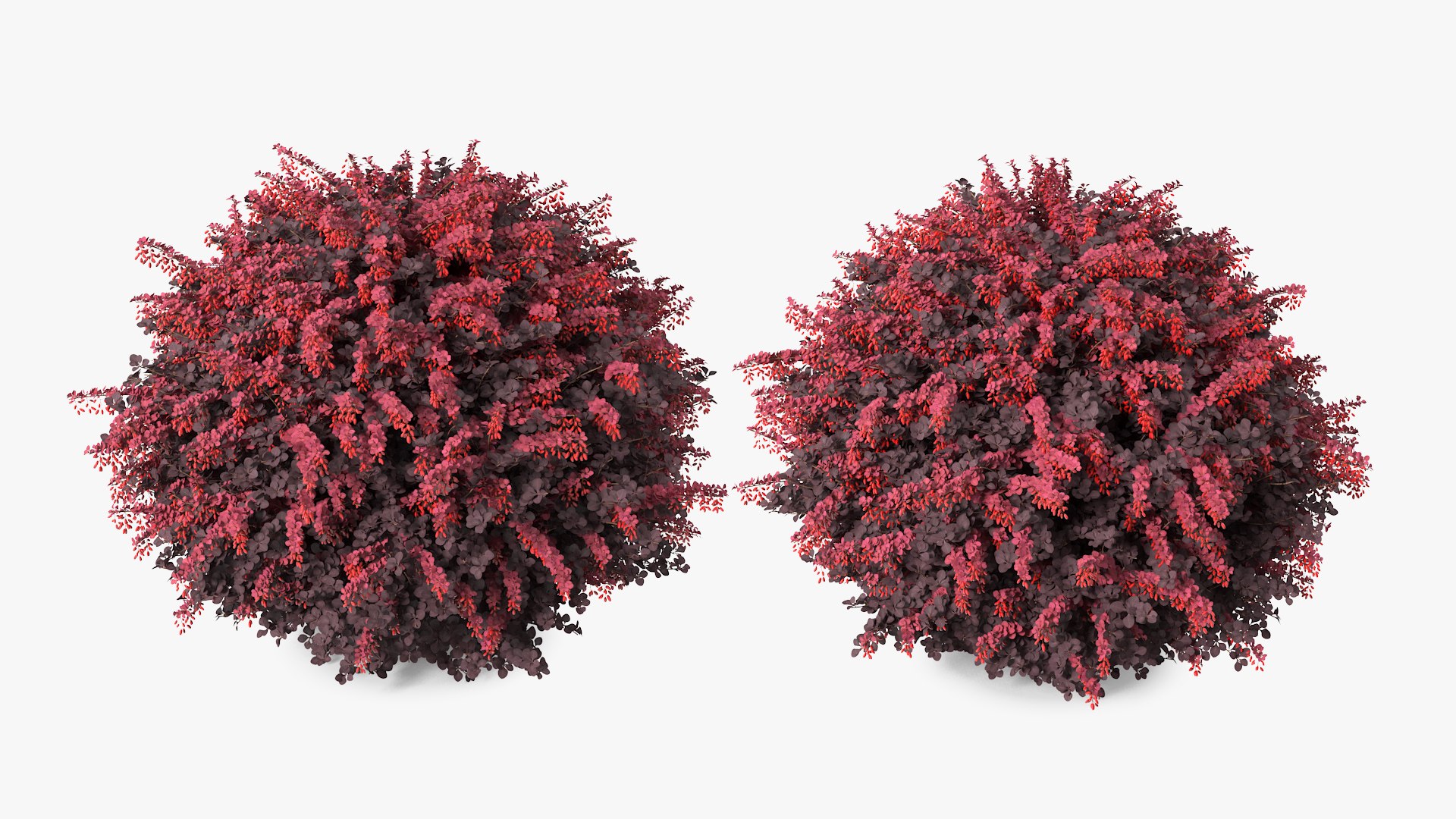 Bushes Collection 8 3D model https://p.turbosquid.com/ts-thumb/zp/4HtFkf/73/bushescollection83dmodel103/jpg/1690790806/1920x1080/fit_q87/d8cc7e07a6dcda7cde2ca567af8968d830daee26/bushescollection83dmodel103.jpg