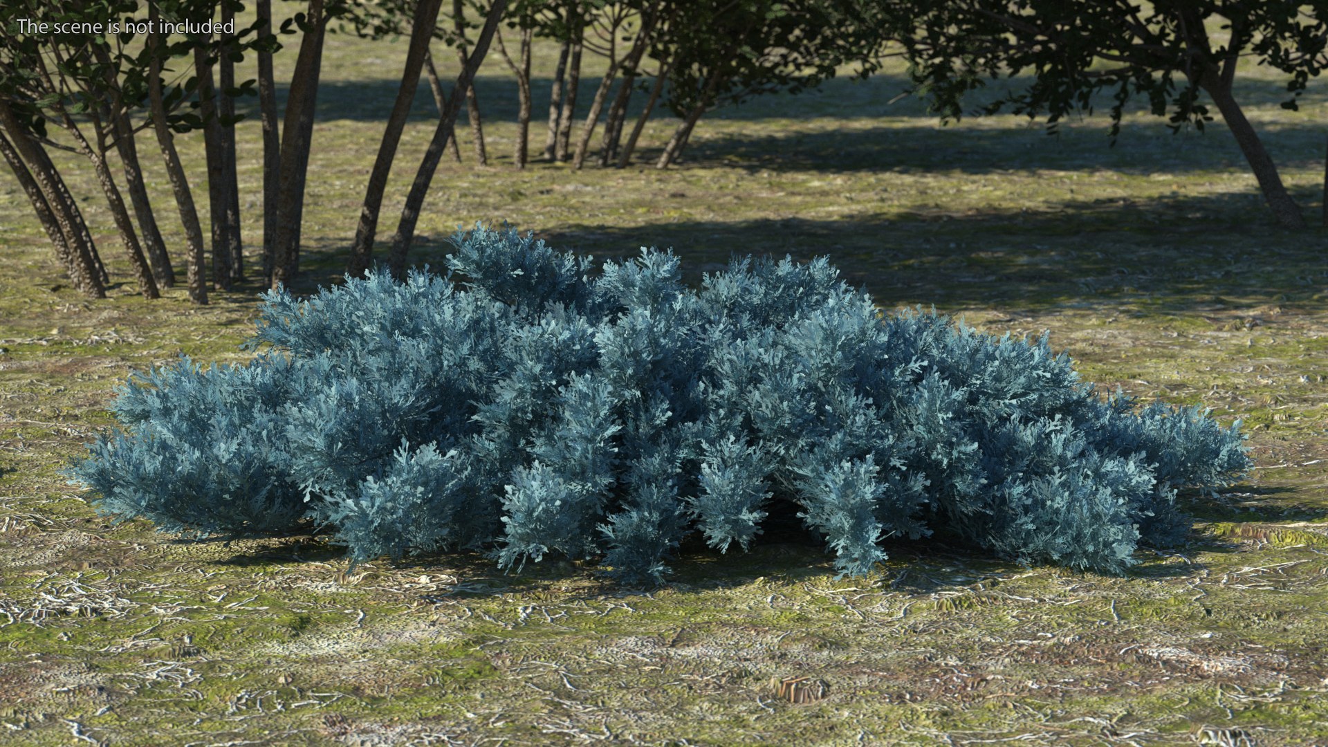Bushes Collection 8 3D model https://p.turbosquid.com/ts-thumb/zp/4HtFkf/8j/bushescollection83dmodel060/jpg/1690790613/1920x1080/fit_q87/3bc2b50a8fb6a22fab06064d4ae292dcf4da5c39/bushescollection83dmodel060.jpg