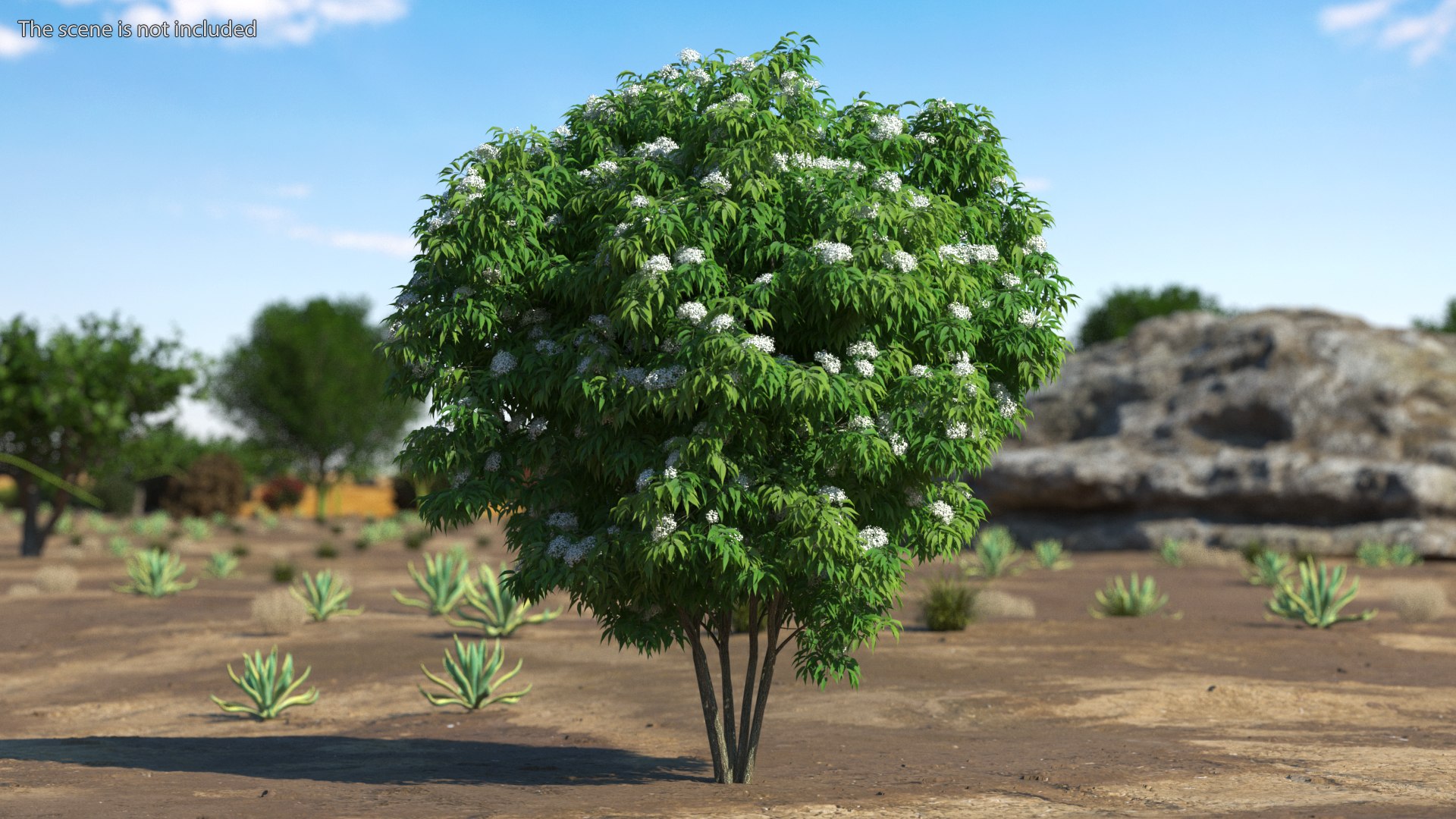 Bushes Collection 8 3D model https://p.turbosquid.com/ts-thumb/zp/4HtFkf/9L/bushescollection83dmodel047/jpg/1690790552/1920x1080/fit_q87/e5e5580b79633eb2f121feab6afd69c4fb4b0490/bushescollection83dmodel047.jpg
