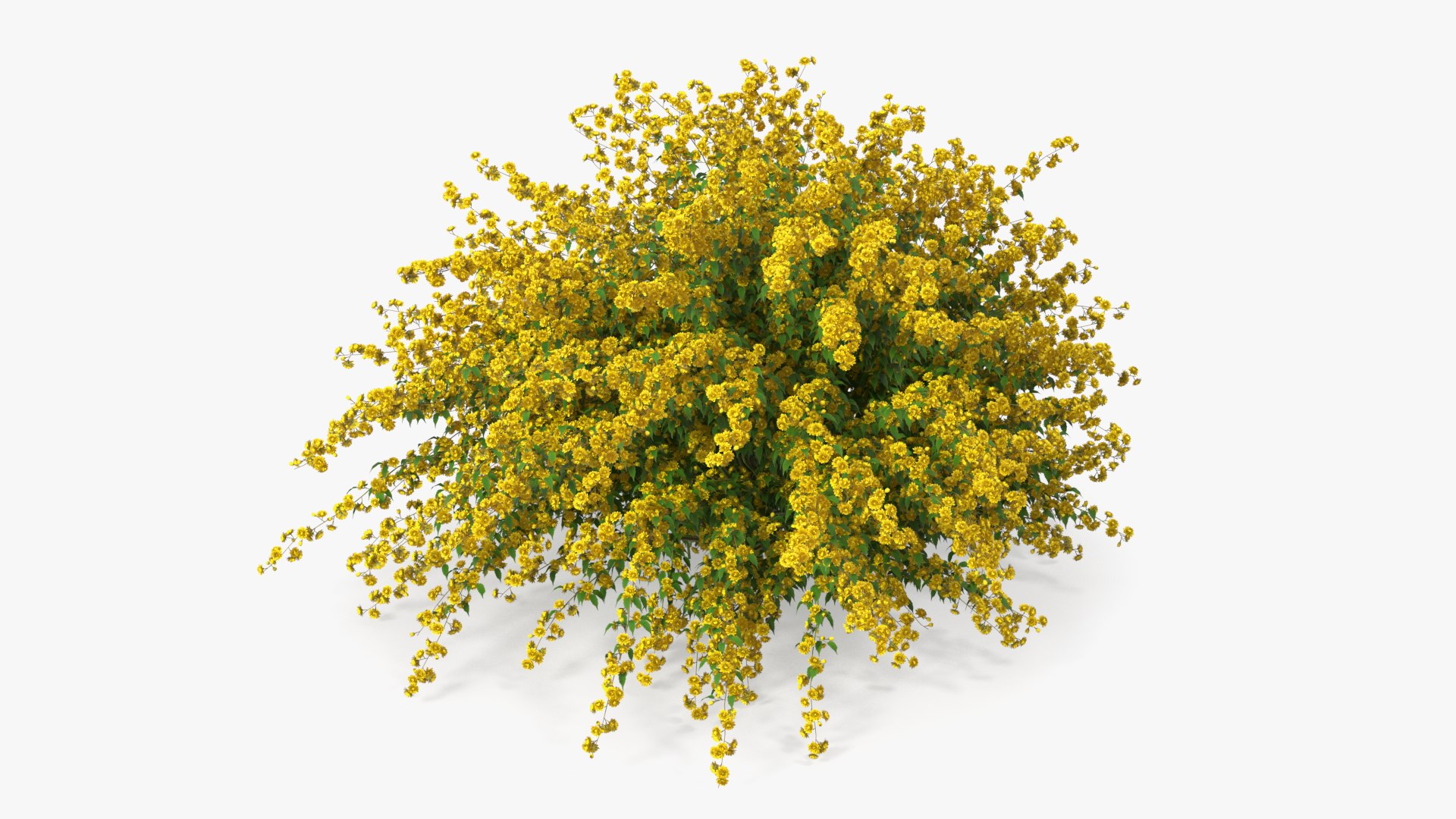 Bushes Collection 8 3D model https://p.turbosquid.com/ts-thumb/zp/4HtFkf/Aj/bushescollection83dmodel020/jpg/1690790438/1920x1080/fit_q87/8cbea2e5bd5b27a77e4b4fcf38e261d4afbe8b01/bushescollection83dmodel020.jpg