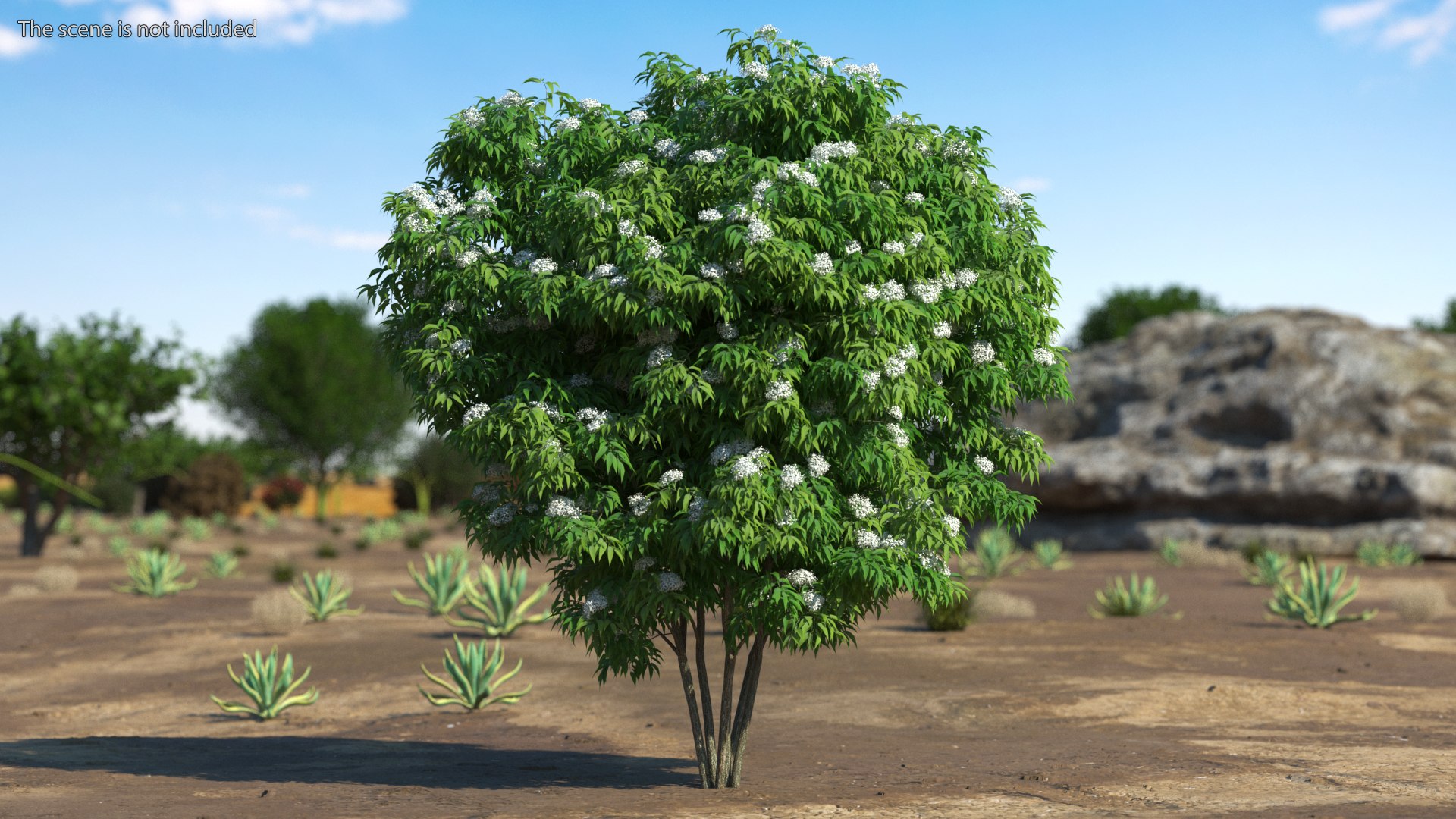 Bushes Collection 8 3D model https://p.turbosquid.com/ts-thumb/zp/4HtFkf/B7/bushescollection83dmodel046/jpg/1690790548/1920x1080/fit_q87/2af9460b20e69f6e028aa1983dbdb0d95ca2300f/bushescollection83dmodel046.jpg