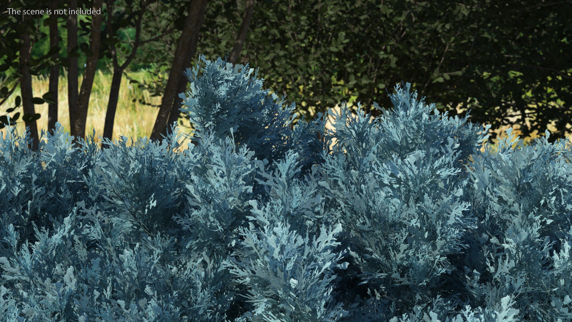 Bushes Collection 8 3D model https://p.turbosquid.com/ts-thumb/zp/4HtFkf/Bn/bushescollection83dmodel062/jpg/1690790623/1920x1080/fit_q87/8b61ee24f471891140ac657ea71f2ad3e7fb4f22/bushescollection83dmodel062.jpg