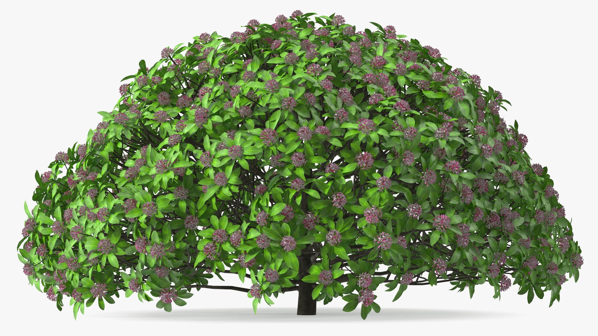 Bushes Collection 8 3D model https://p.turbosquid.com/ts-thumb/zp/4HtFkf/C8/bushescollection83dmodel042/jpg/1690790533/1920x1080/fit_q87/fb53eca3088776cab8d12a45fce7a74b719050fd/bushescollection83dmodel042.jpg