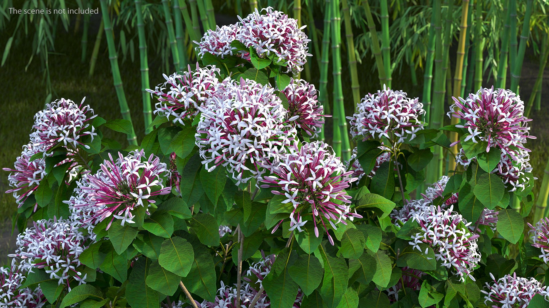 Bushes Collection 8 3D model https://p.turbosquid.com/ts-thumb/zp/4HtFkf/CK/bushescollection83dmodel075/jpg/1690790680/1920x1080/fit_q87/31ac04159bbeed4061d202a613f76cb3ceaceb58/bushescollection83dmodel075.jpg
