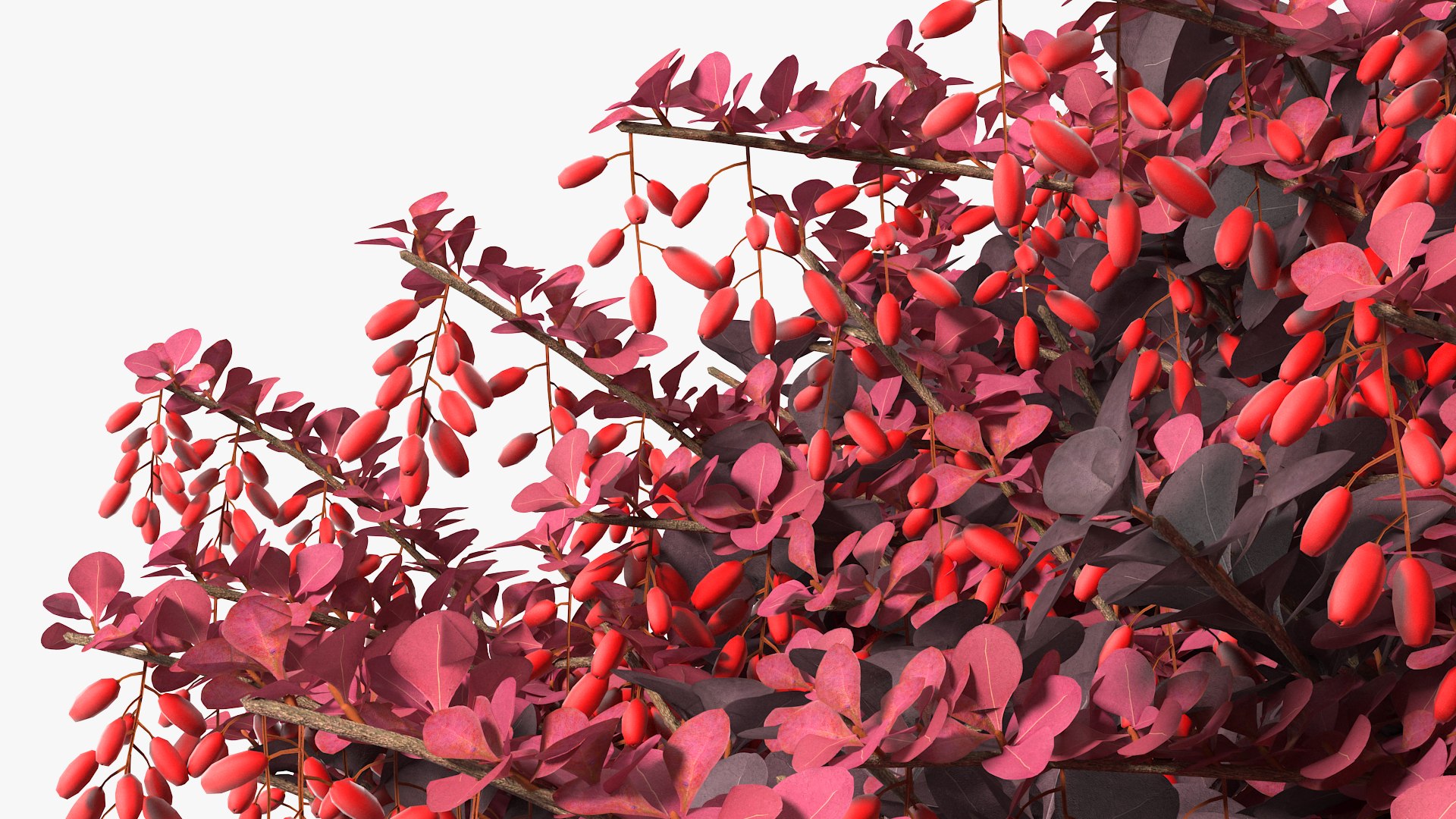 Bushes Collection 8 3D model https://p.turbosquid.com/ts-thumb/zp/4HtFkf/Eo/bushescollection83dmodel105/jpg/1690790815/1920x1080/fit_q87/27ed0fecef7fd1992e20a0d0ba311e137e2b89d2/bushescollection83dmodel105.jpg