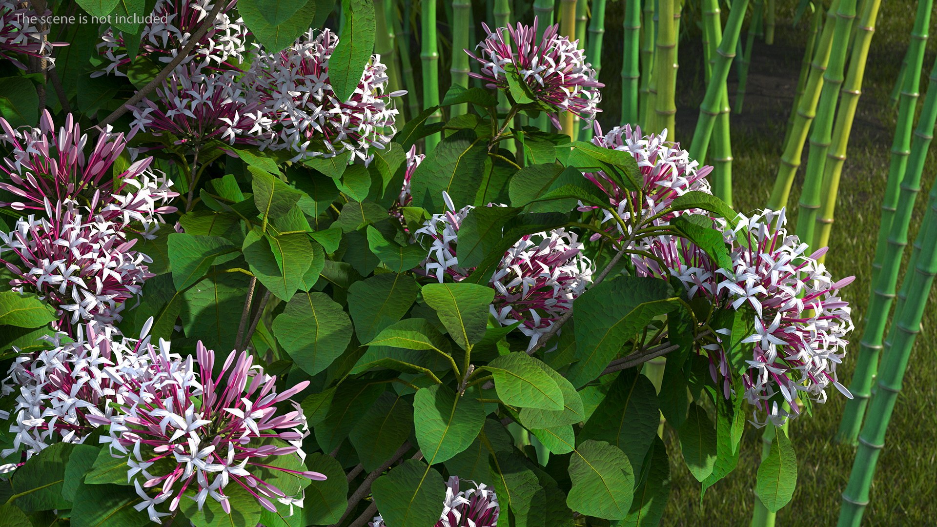 Bushes Collection 8 3D model https://p.turbosquid.com/ts-thumb/zp/4HtFkf/GA/bushescollection83dmodel076/jpg/1690790685/1920x1080/fit_q87/e208d93b6d55f4175ed1bce56862bd2ccea22df6/bushescollection83dmodel076.jpg