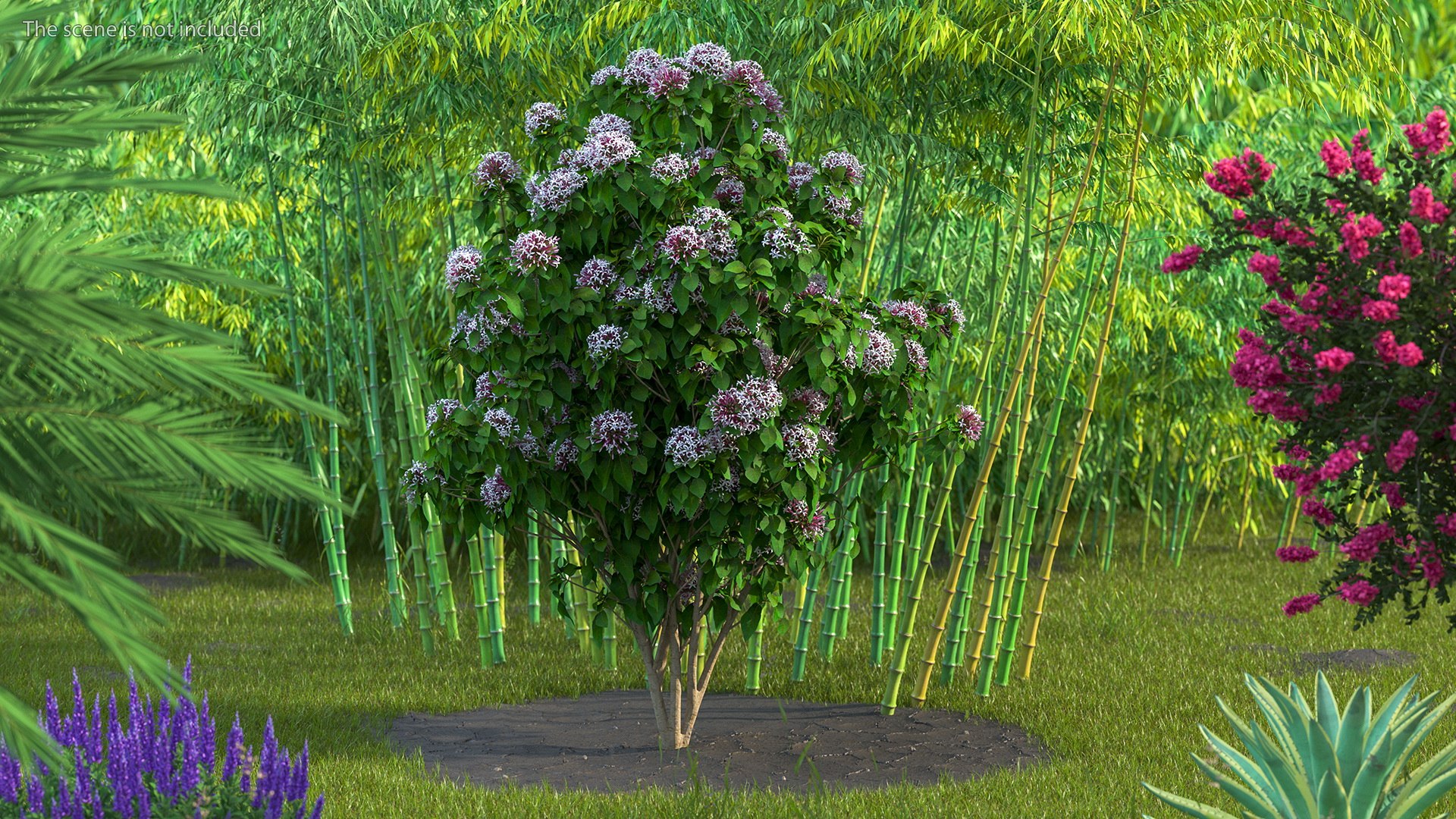 Bushes Collection 8 3D model https://p.turbosquid.com/ts-thumb/zp/4HtFkf/GJ/bushescollection83dmodel072/jpg/1690790667/1920x1080/fit_q87/41c9ed1f1e7e0dd752e218d0a9e811adb5a9bc34/bushescollection83dmodel072.jpg