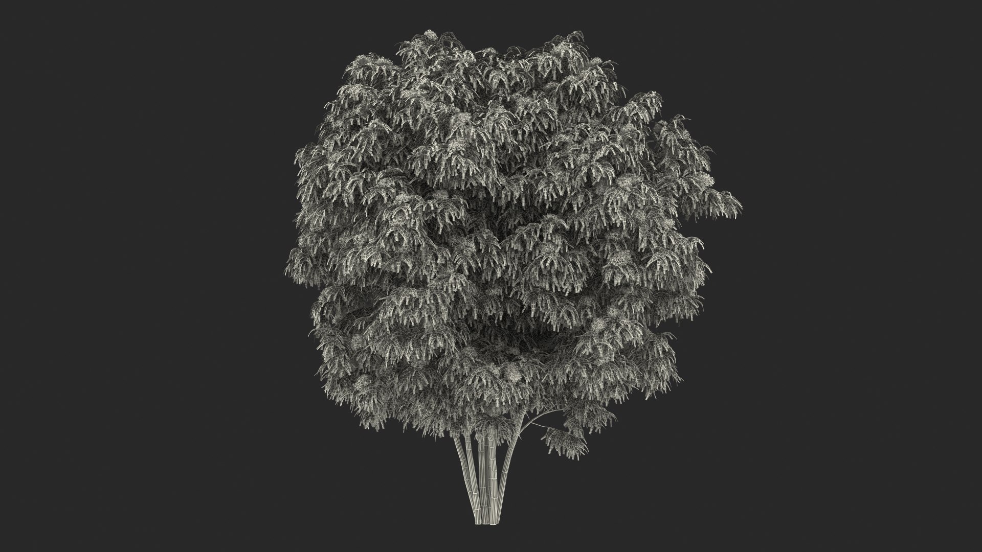Bushes Collection 8 3D model https://p.turbosquid.com/ts-thumb/zp/4HtFkf/IA/bushescollection83dmodel115/jpg/1690790857/1920x1080/fit_q87/af4aa1c558a0215c07044ff9408eed151874b2fd/bushescollection83dmodel115.jpg