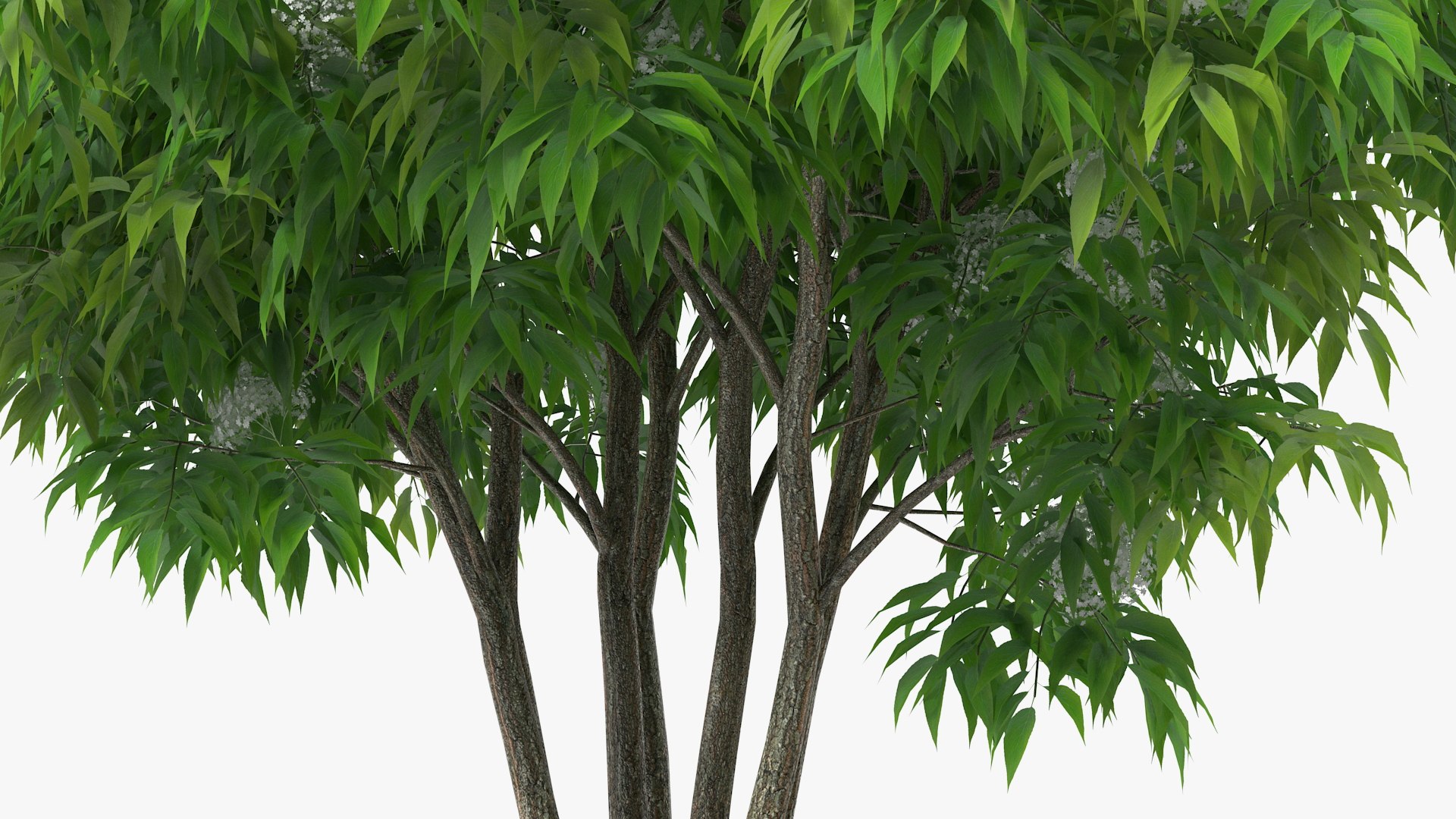 Bushes Collection 8 3D model https://p.turbosquid.com/ts-thumb/zp/4HtFkf/K9/bushescollection83dmodel055/jpg/1690790590/1920x1080/fit_q87/834e36235fed0048e1816b5898334c2c5ae8837f/bushescollection83dmodel055.jpg
