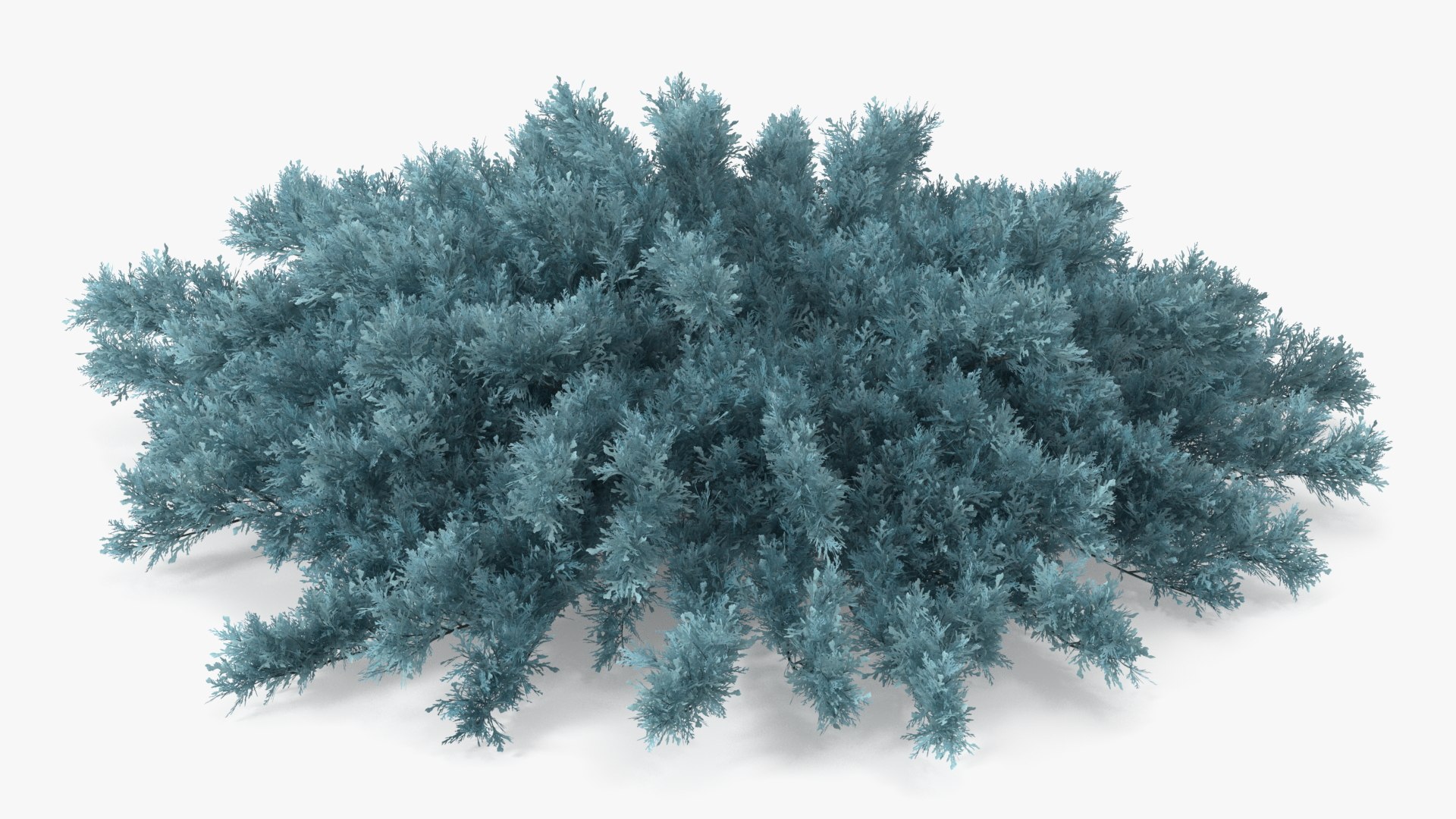 Bushes Collection 8 3D model https://p.turbosquid.com/ts-thumb/zp/4HtFkf/LE/bushescollection83dmodel065/jpg/1690790636/1920x1080/fit_q87/5aeb36ad3e5808ce522a4e8beeb9010f5c87d099/bushescollection83dmodel065.jpg