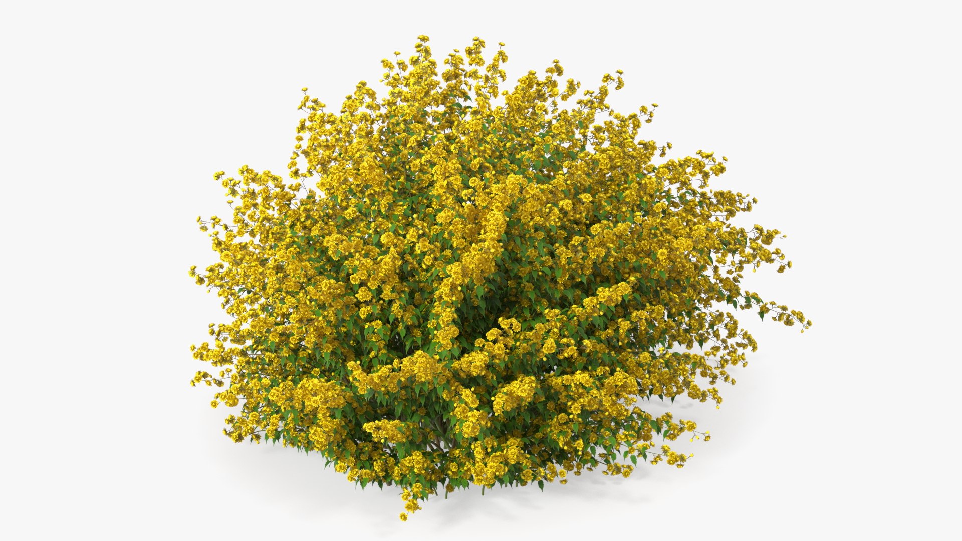 Bushes Collection 8 3D model https://p.turbosquid.com/ts-thumb/zp/4HtFkf/LY/bushescollection83dmodel019/jpg/1690790434/1920x1080/fit_q87/762c4423a105c942e5b84fdafcef3b82fb299bee/bushescollection83dmodel019.jpg