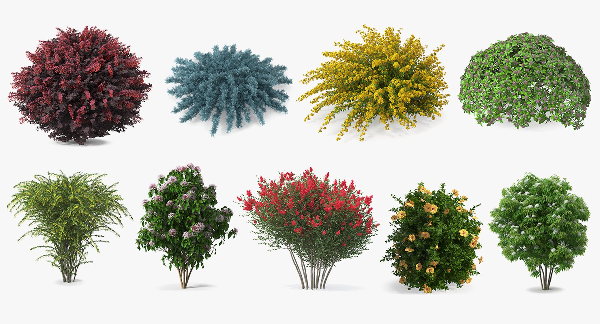 Bushes Collection 8 3D model https://p.turbosquid.com/ts-thumb/zp/4HtFkf/Mi/bushescollection83dmodel001/jpg/1690789183/1920x1080/fit_q87/e5b0f441b12649b873fccbd19624a19c070b6dab/bushescollection83dmodel001.jpg