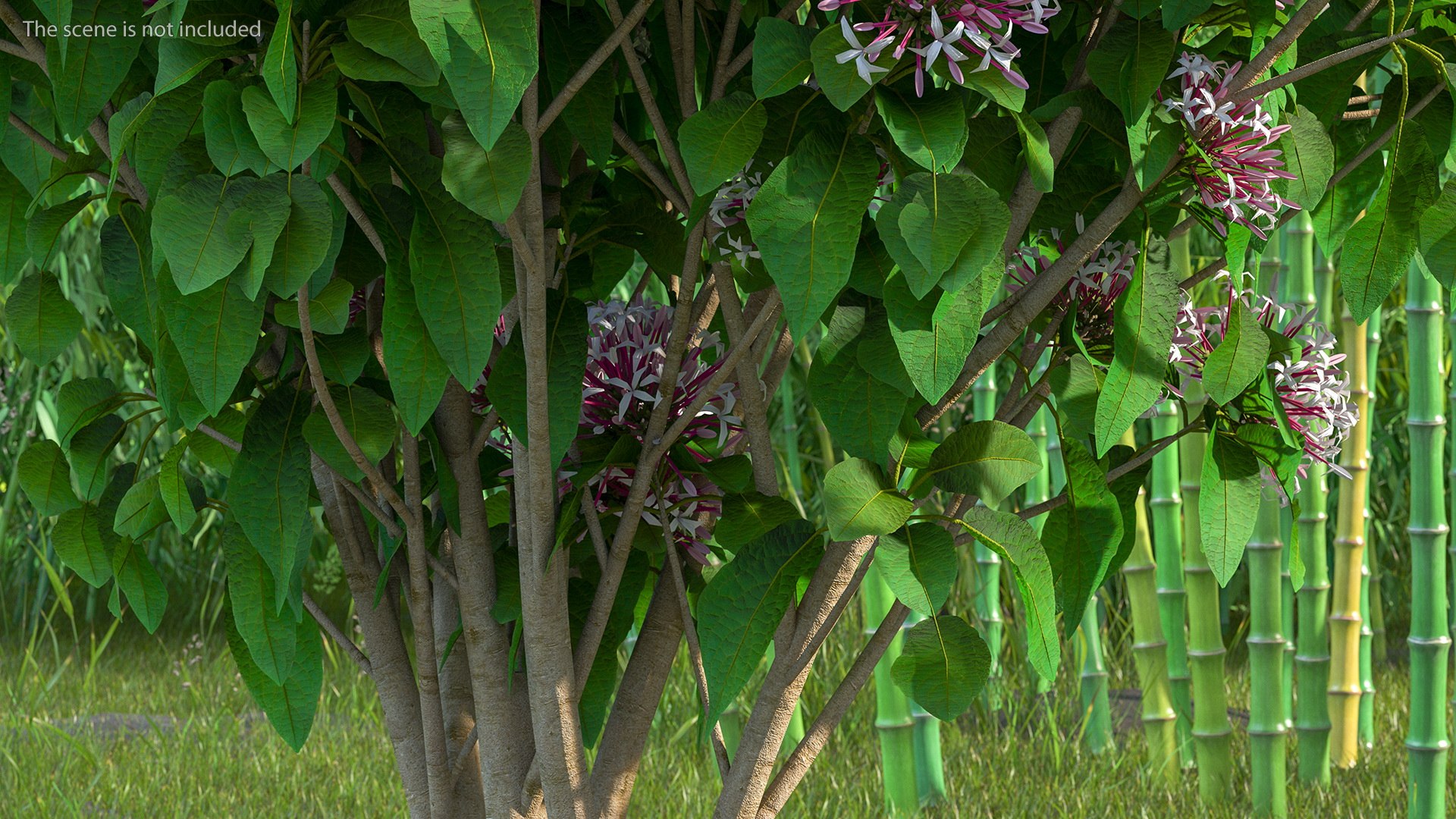 Bushes Collection 8 3D model https://p.turbosquid.com/ts-thumb/zp/4HtFkf/NY/bushescollection83dmodel077/jpg/1690790691/1920x1080/fit_q87/f884b1d73fa36cf30113d0e9daf8af1695bd5882/bushescollection83dmodel077.jpg