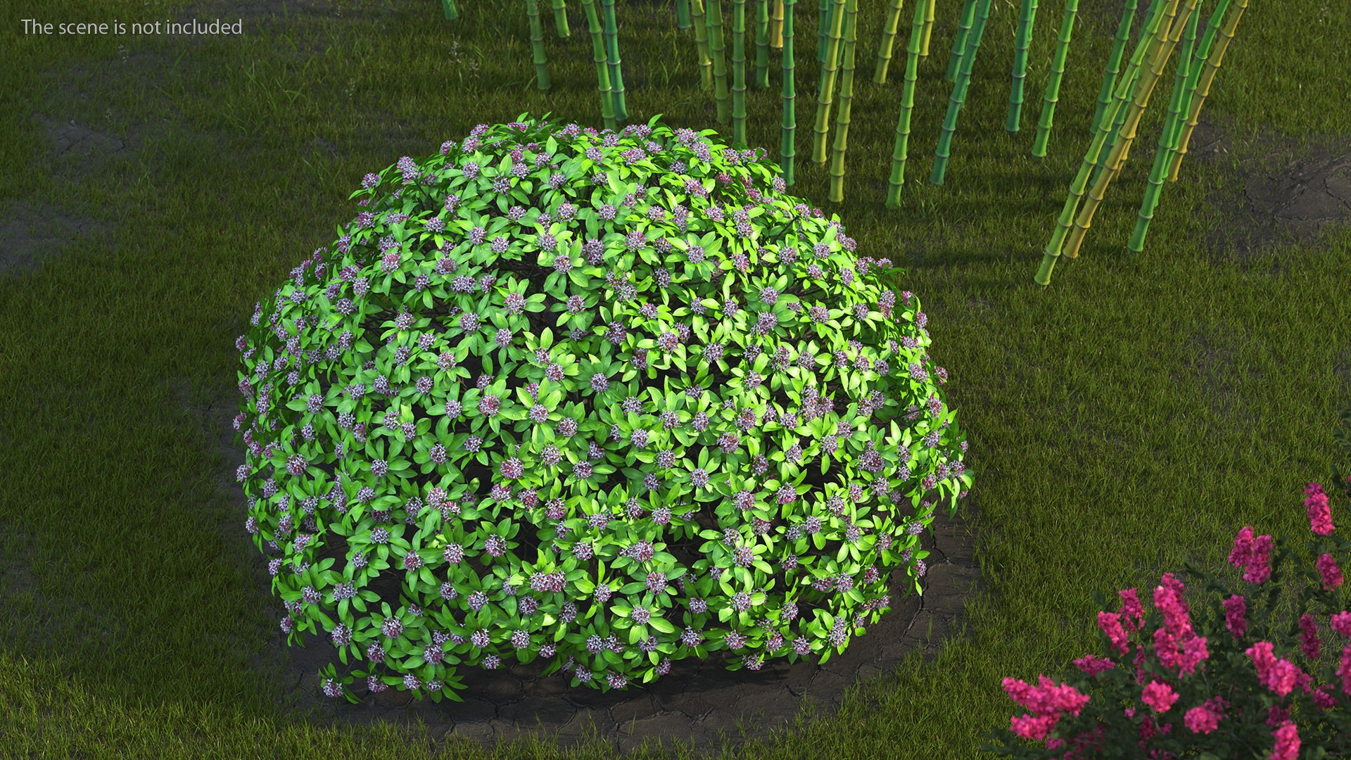 Bushes Collection 8 3D model https://p.turbosquid.com/ts-thumb/zp/4HtFkf/WR/bushescollection83dmodel036/jpg/1690790510/1920x1080/fit_q87/575ac8bdf69259d5781d8e69c9abfe88c81ce90c/bushescollection83dmodel036.jpg