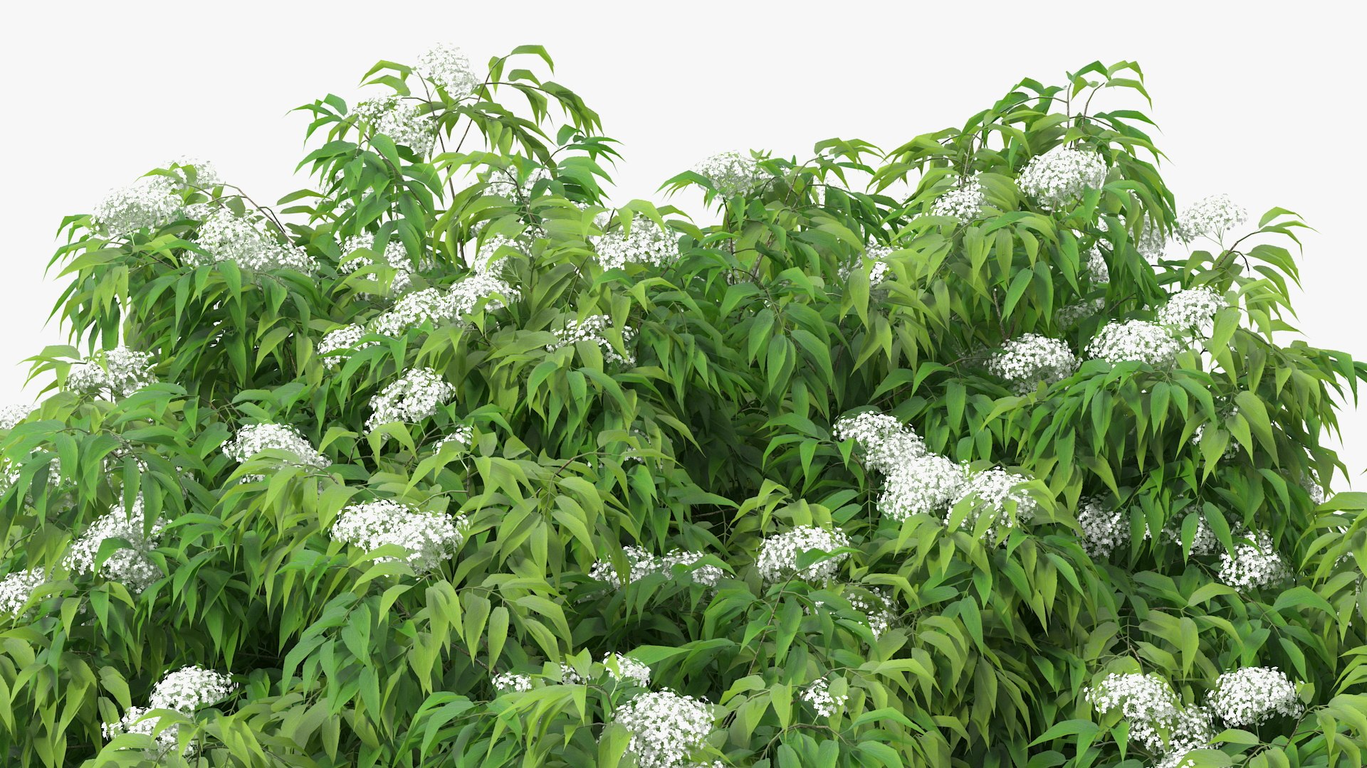 Bushes Collection 8 3D model https://p.turbosquid.com/ts-thumb/zp/4HtFkf/Wz/bushescollection83dmodel053/jpg/1690790578/1920x1080/fit_q87/18a453e2369416d85a818533eefd71417253c842/bushescollection83dmodel053.jpg