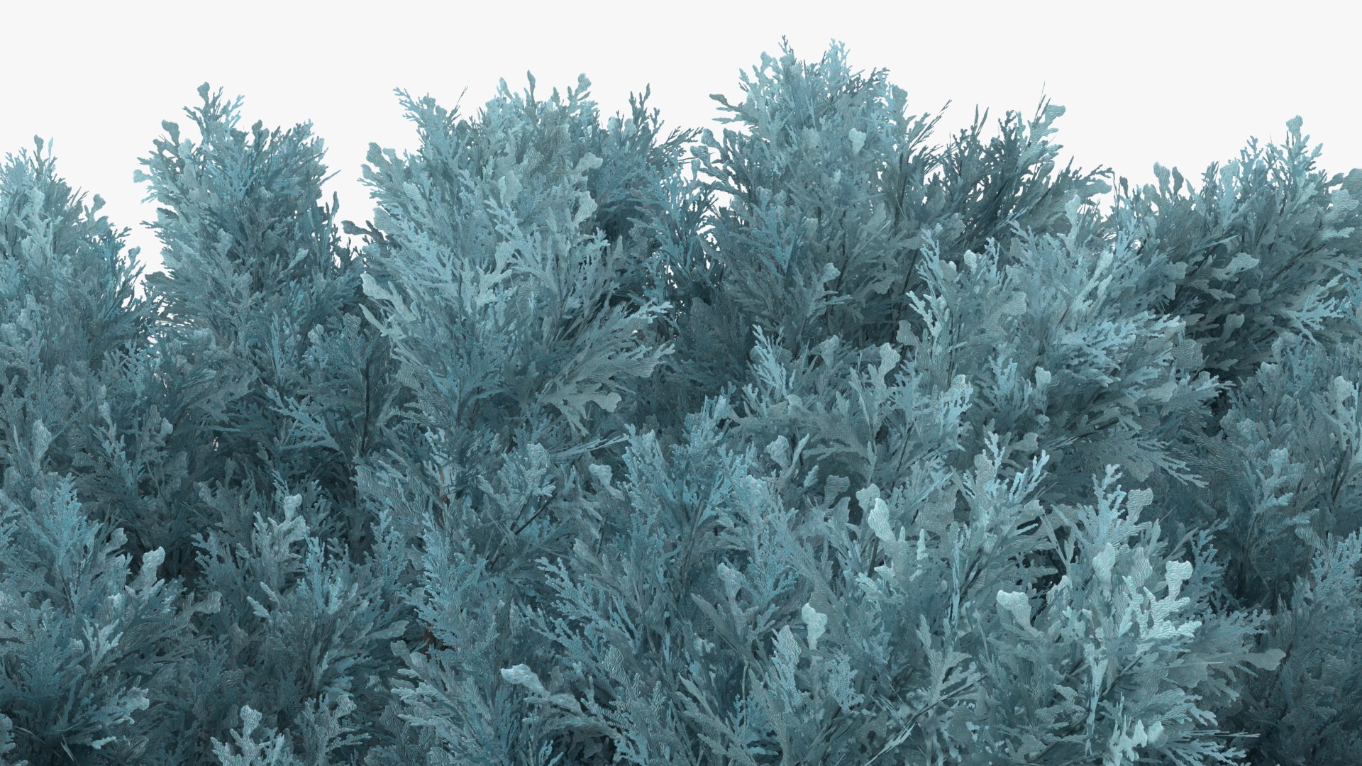Bushes Collection 8 3D model https://p.turbosquid.com/ts-thumb/zp/4HtFkf/XS/bushescollection83dmodel067/jpg/1690790645/1920x1080/fit_q87/8a45af20b23fcdd7eecb6358679447d2840c7708/bushescollection83dmodel067.jpg