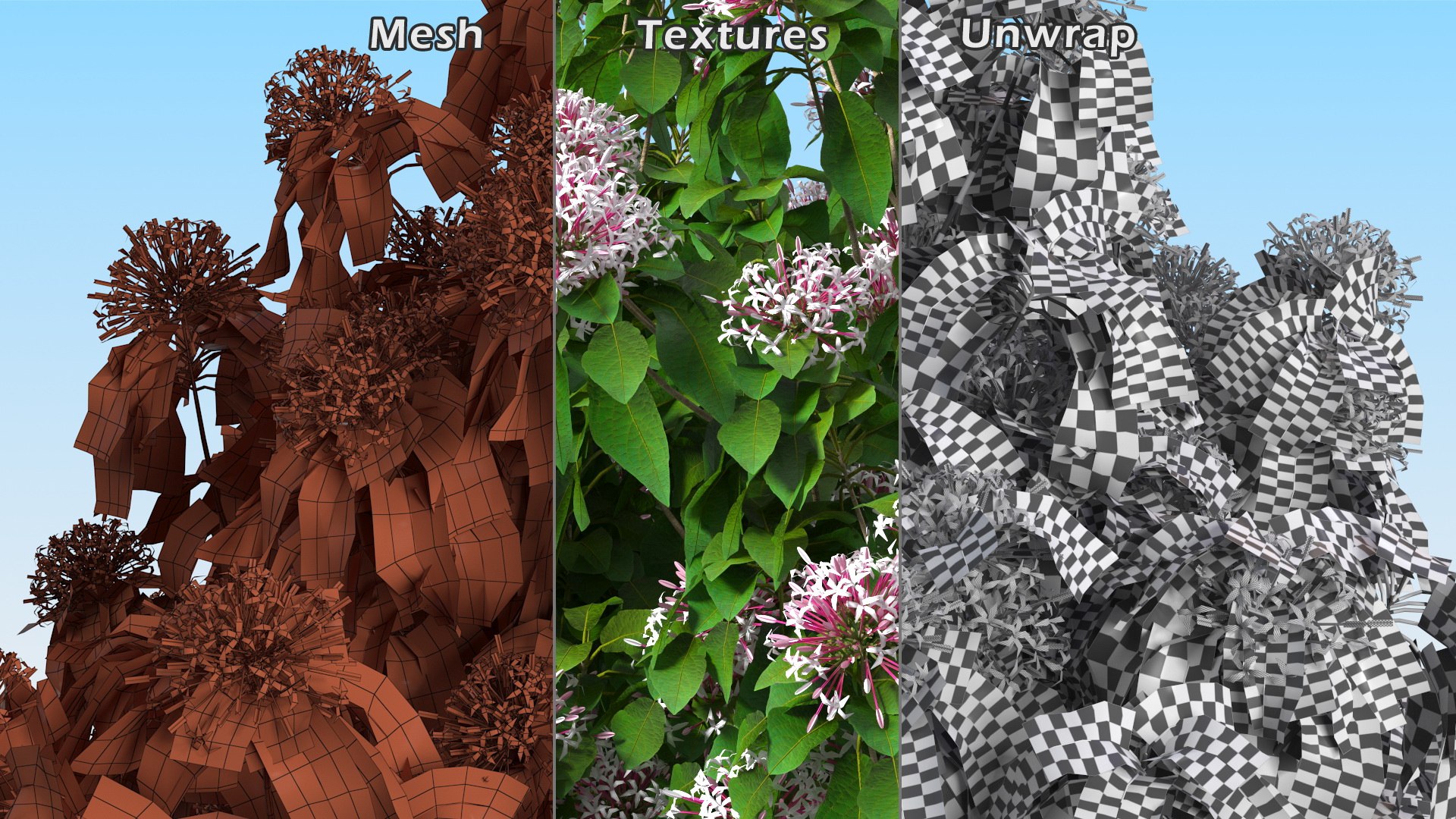 Bushes Collection 8 3D model https://p.turbosquid.com/ts-thumb/zp/4HtFkf/dg/bushescollection83dmodel078/jpg/1690790694/1920x1080/fit_q87/4fc6c3bc853b77ebdd3380e65c6d15aafc77b307/bushescollection83dmodel078.jpg