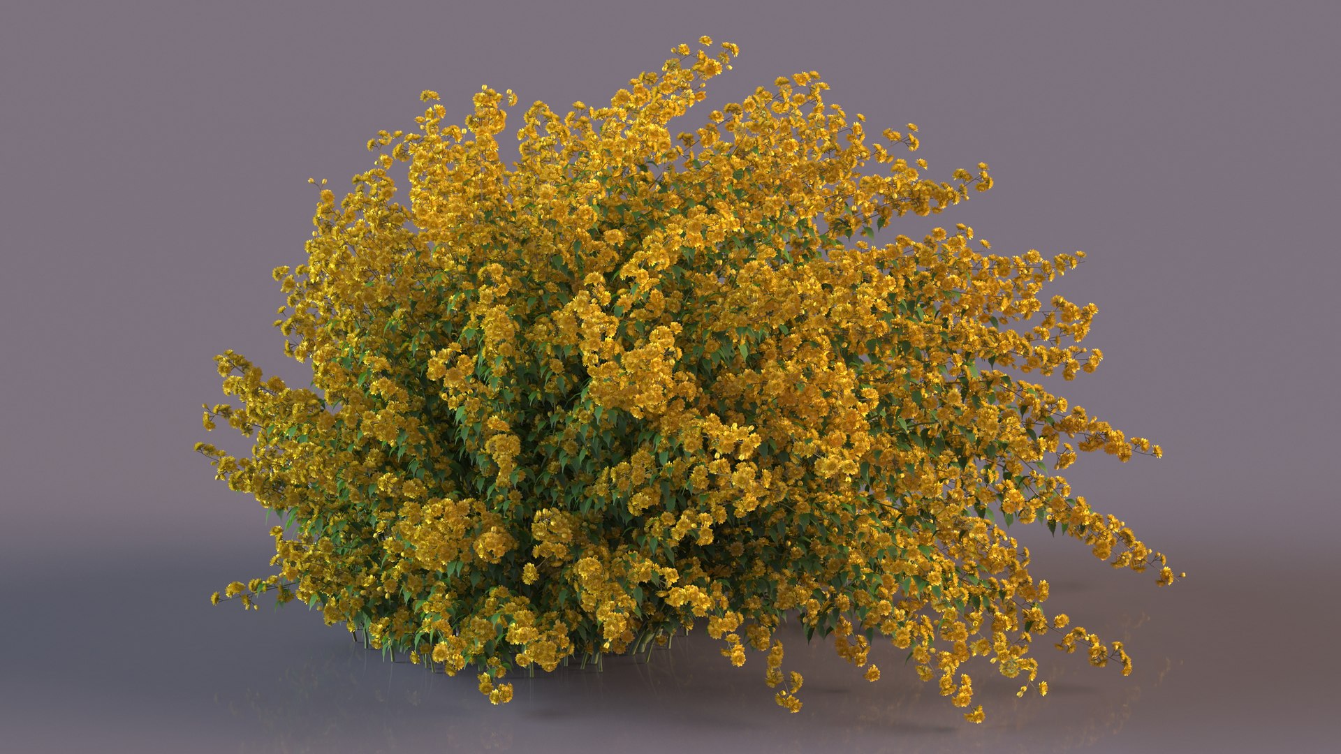 Bushes Collection 8 3D model https://p.turbosquid.com/ts-thumb/zp/4HtFkf/dr/bushescollection83dmodel015/jpg/1690790416/1920x1080/fit_q87/873f6ca665c2b4b25b54dc2cb61651d2587cfa34/bushescollection83dmodel015.jpg