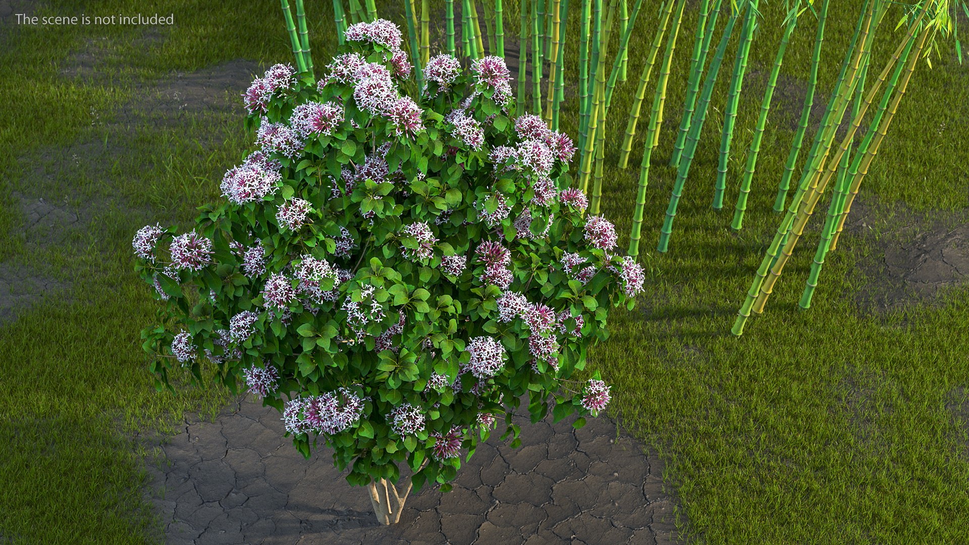 Bushes Collection 8 3D model https://p.turbosquid.com/ts-thumb/zp/4HtFkf/ge/bushescollection83dmodel073/jpg/1690790672/1920x1080/fit_q87/a81f283418933246dbadfab9ae1f112b3cf314de/bushescollection83dmodel073.jpg
