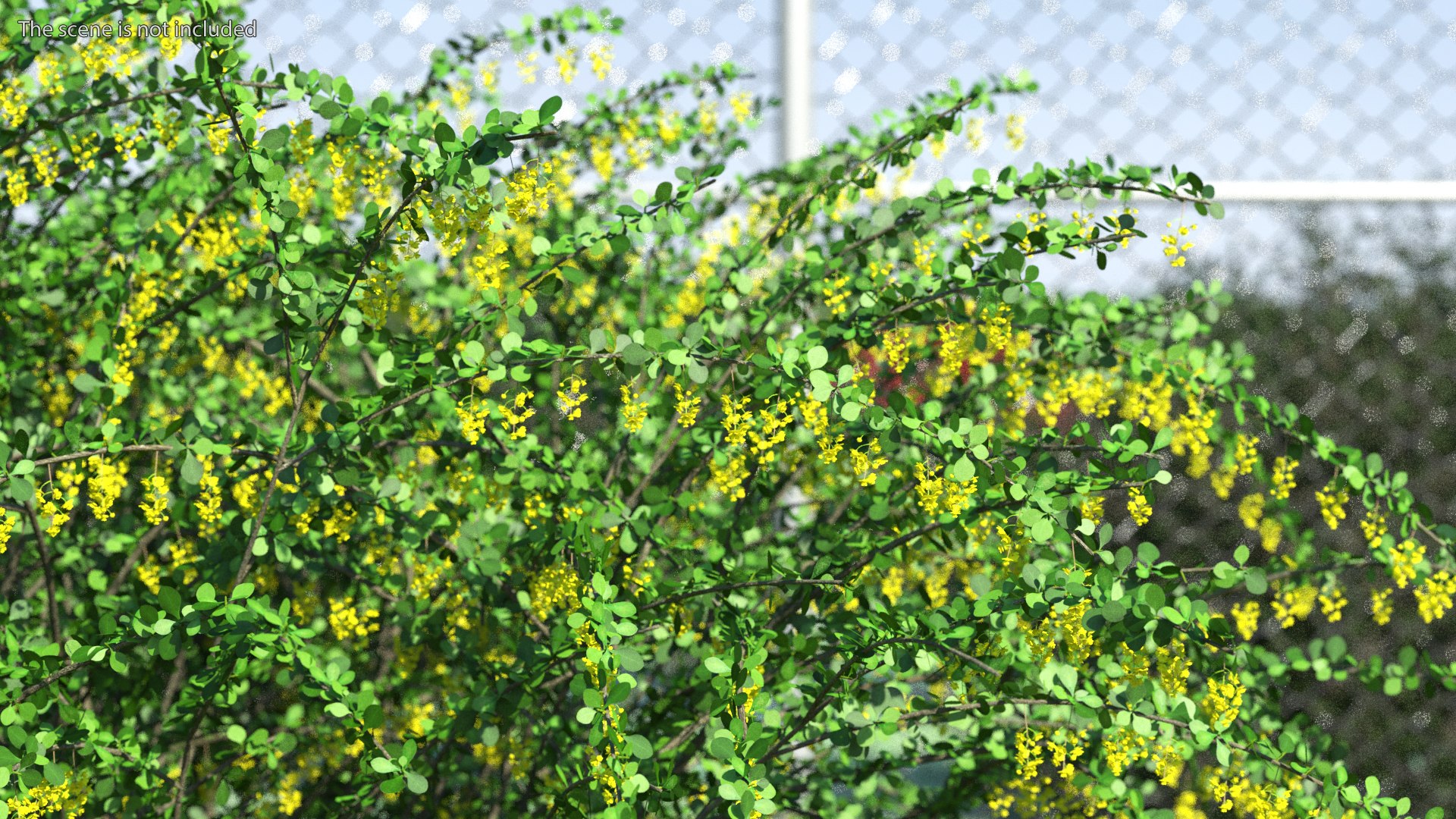 Bushes Collection 8 3D model https://p.turbosquid.com/ts-thumb/zp/4HtFkf/gf/bushescollection83dmodel088/jpg/1690790739/1920x1080/fit_q87/0c380d504950ec93295441625d8fde88e80c036d/bushescollection83dmodel088.jpg