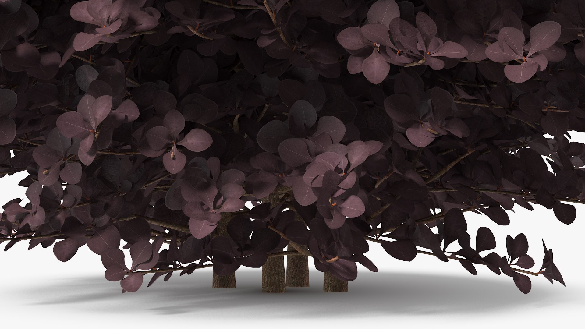 Bushes Collection 8 3D model https://p.turbosquid.com/ts-thumb/zp/4HtFkf/gl/bushescollection83dmodel107/jpg/1690790824/1920x1080/fit_q87/693a80ab07b4aa6f281f9bc246aa32a41fab934c/bushescollection83dmodel107.jpg