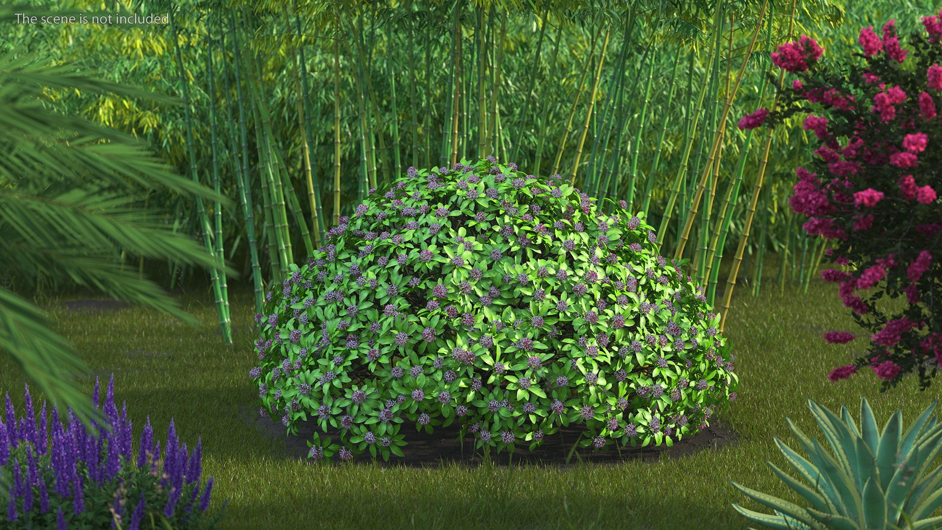 Bushes Collection 8 3D model https://p.turbosquid.com/ts-thumb/zp/4HtFkf/kA/bushescollection83dmodel037/jpg/1690790514/1920x1080/fit_q87/f3b06b4d77d506bc3487d97d7b0197b2eafb7581/bushescollection83dmodel037.jpg