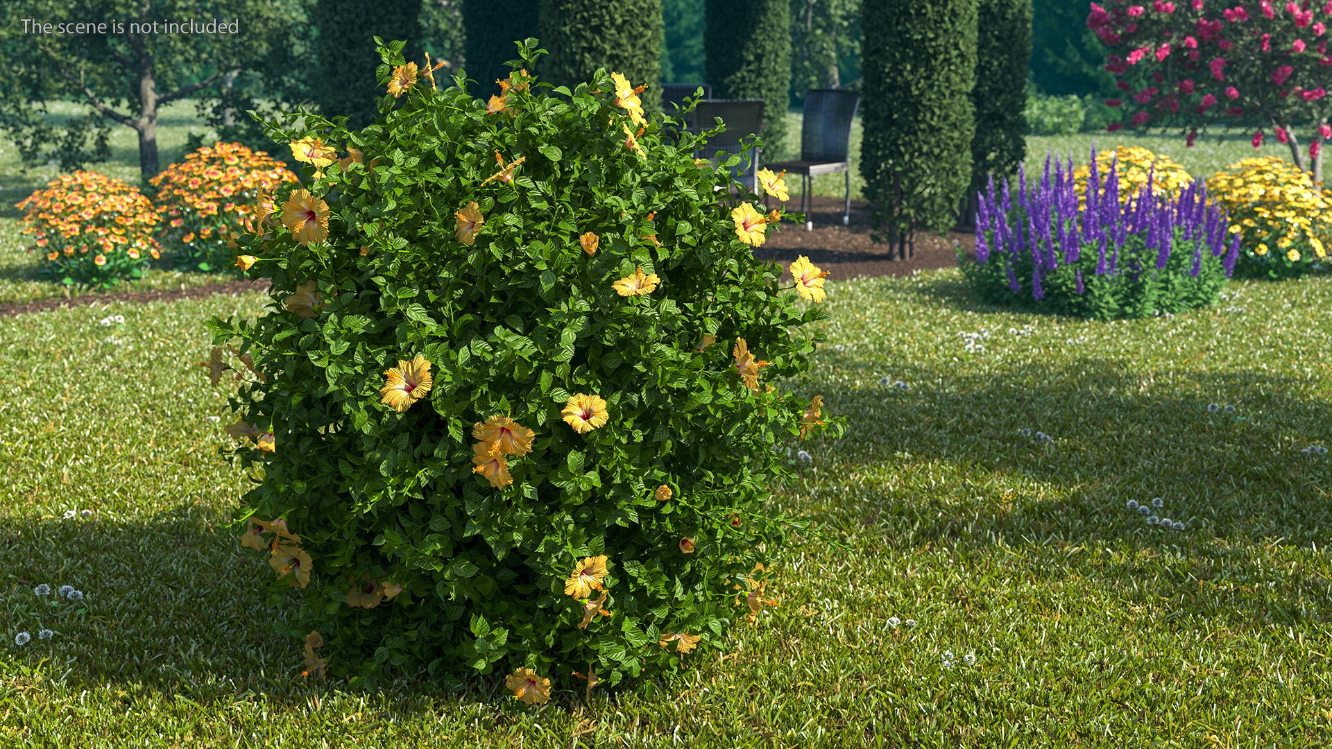 Bushes Collection 8 3D model https://p.turbosquid.com/ts-thumb/zp/4HtFkf/kF/bushescollection83dmodel002/jpg/1690790361/1920x1080/fit_q87/d46dd2b377a78eda6e60b71f9eecca1bbe006f7a/bushescollection83dmodel002.jpg