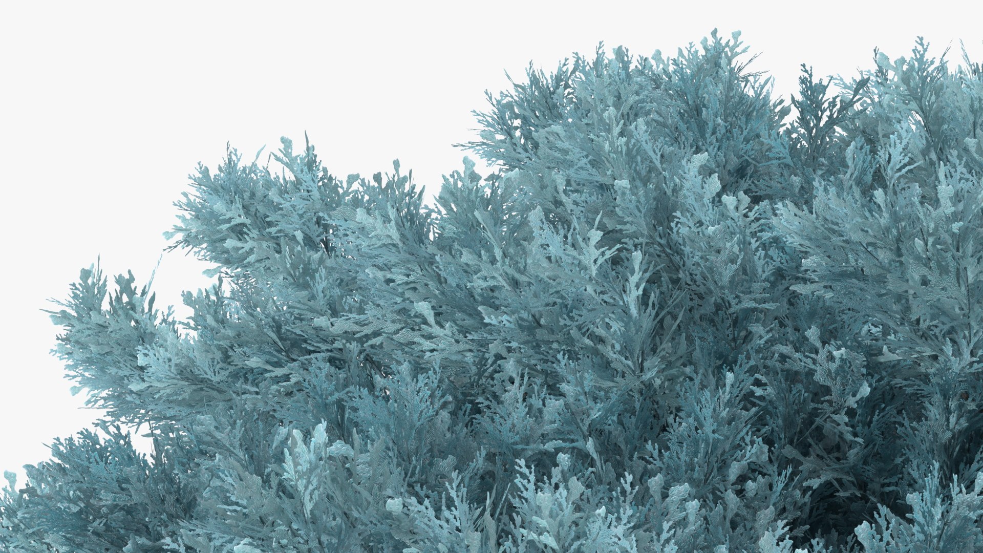 Bushes Collection 8 3D model https://p.turbosquid.com/ts-thumb/zp/4HtFkf/ll/bushescollection83dmodel070/jpg/1690790659/1920x1080/fit_q87/699ba4f6354a19dee2bddb56de69c427a8f9d10f/bushescollection83dmodel070.jpg