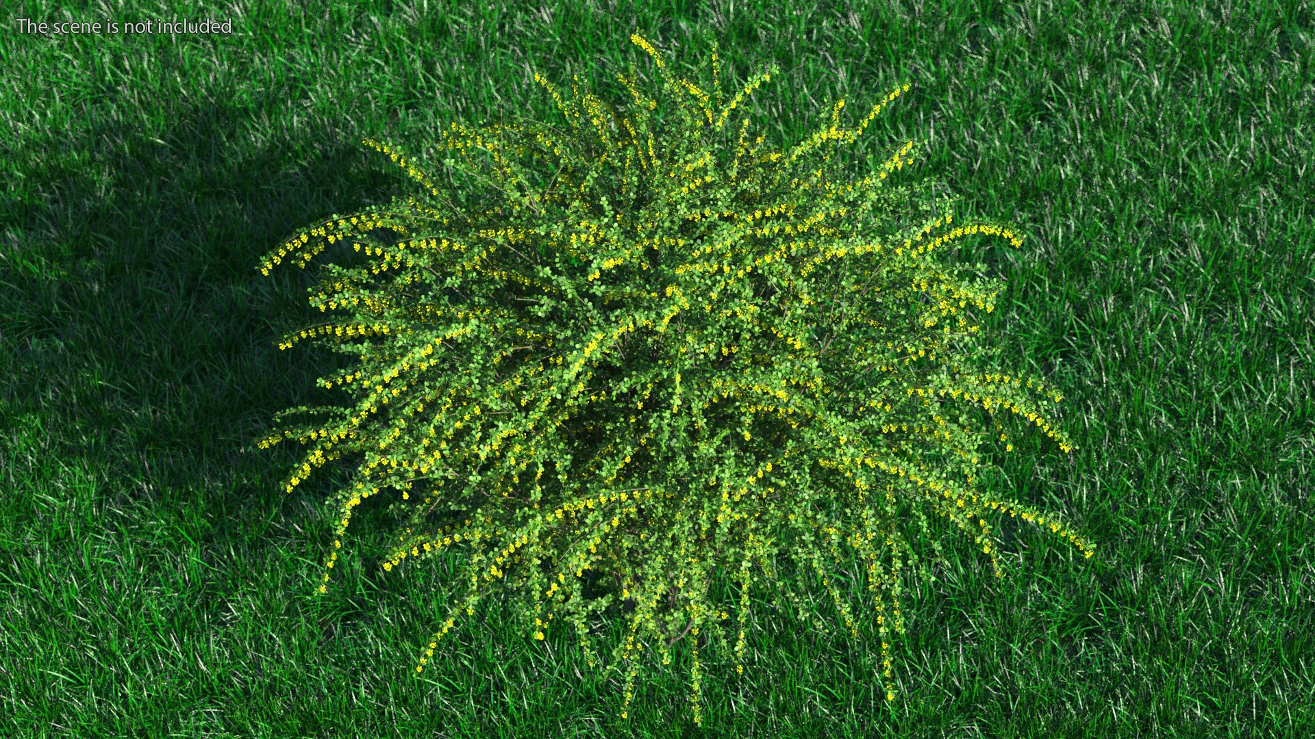 Bushes Collection 8 3D model https://p.turbosquid.com/ts-thumb/zp/4HtFkf/mL/bushescollection83dmodel089/jpg/1690790744/1920x1080/fit_q87/469f67baced3ac39bc6935fbacf5b0ee179abe32/bushescollection83dmodel089.jpg