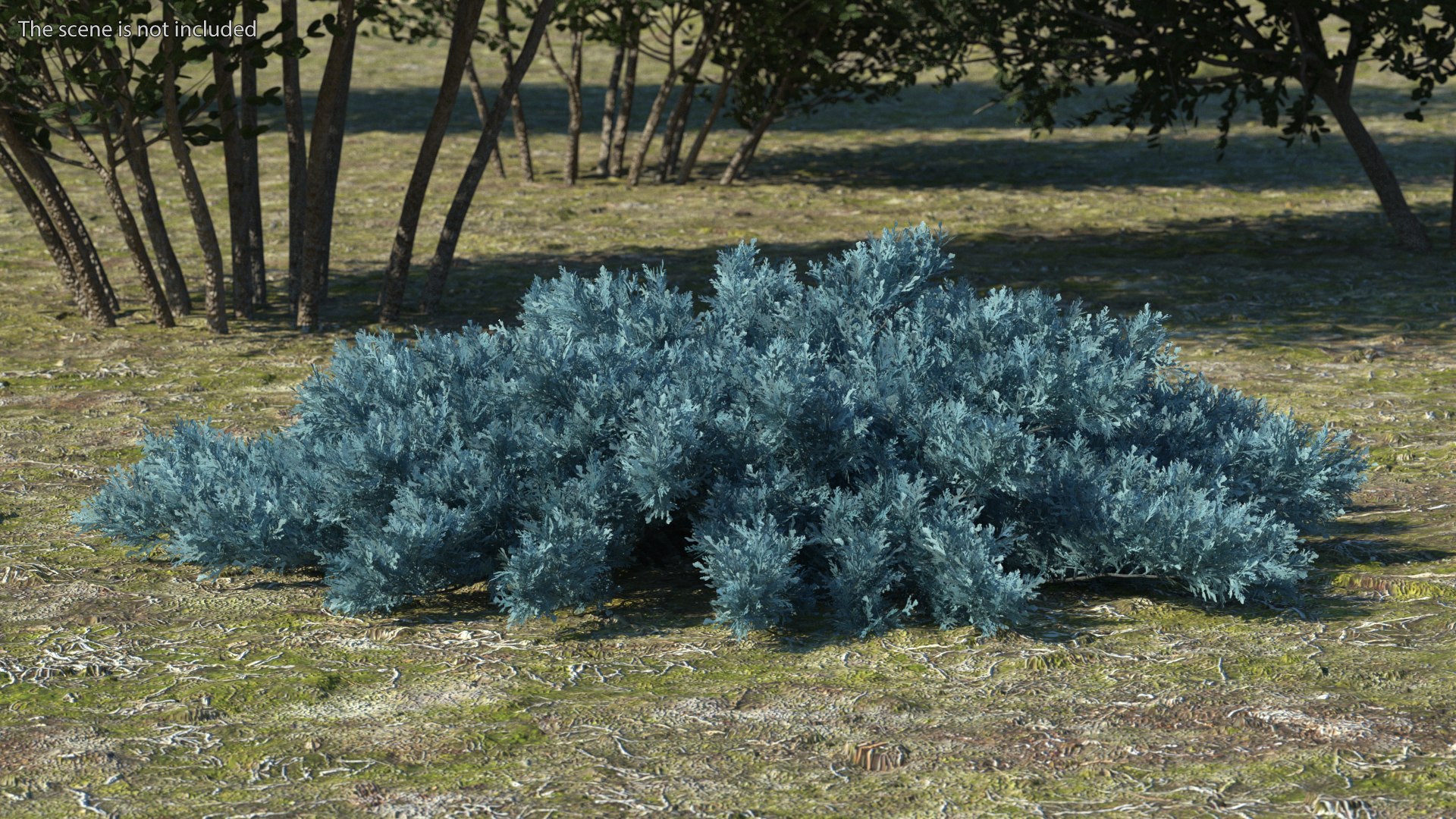 Bushes Collection 8 3D model https://p.turbosquid.com/ts-thumb/zp/4HtFkf/nB/bushescollection83dmodel059/jpg/1690790610/1920x1080/fit_q87/992e817e37dfc70a4ce88b3dcf73cf42c05f107e/bushescollection83dmodel059.jpg