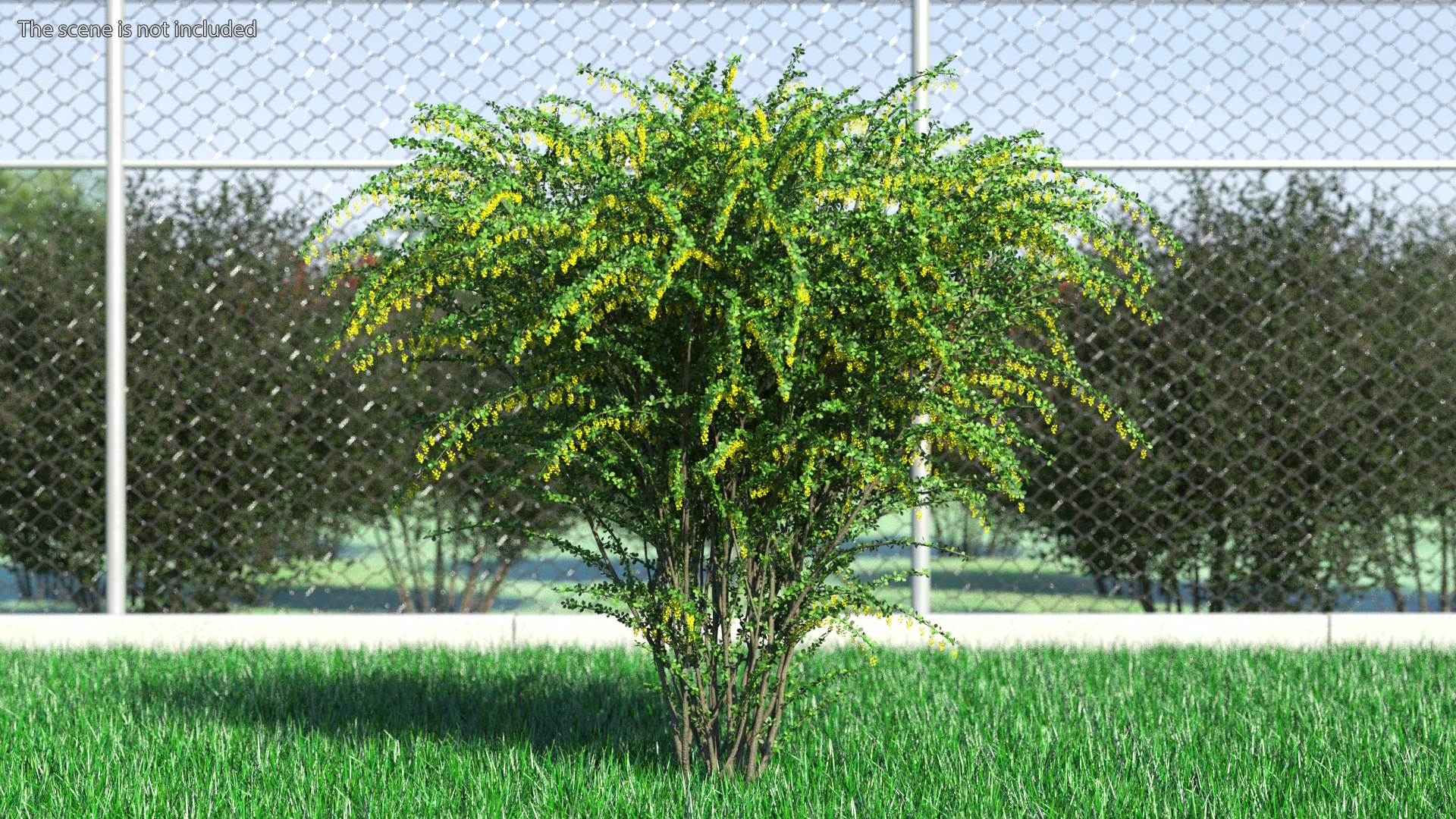 Bushes Collection 8 3D model https://p.turbosquid.com/ts-thumb/zp/4HtFkf/oF/bushescollection83dmodel087/jpg/1690790735/1920x1080/fit_q87/7ca29fba7998c551211a7e33ecd94cefe1493441/bushescollection83dmodel087.jpg