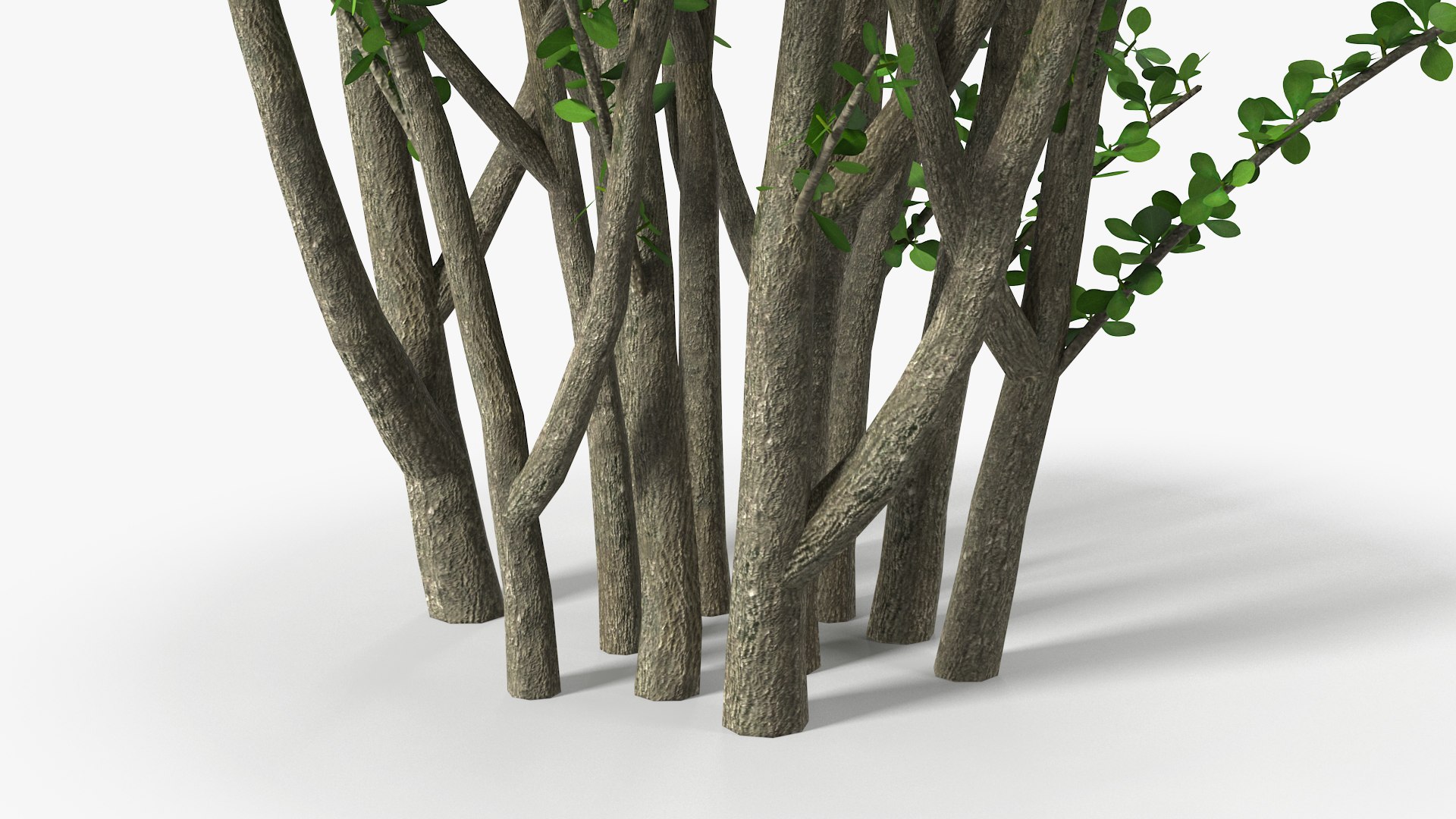 Bushes Collection 8 3D model https://p.turbosquid.com/ts-thumb/zp/4HtFkf/pS/bushescollection83dmodel097/jpg/1690790781/1920x1080/fit_q87/1fd679e2422d3606193d9d9b719aa9051e164ee3/bushescollection83dmodel097.jpg