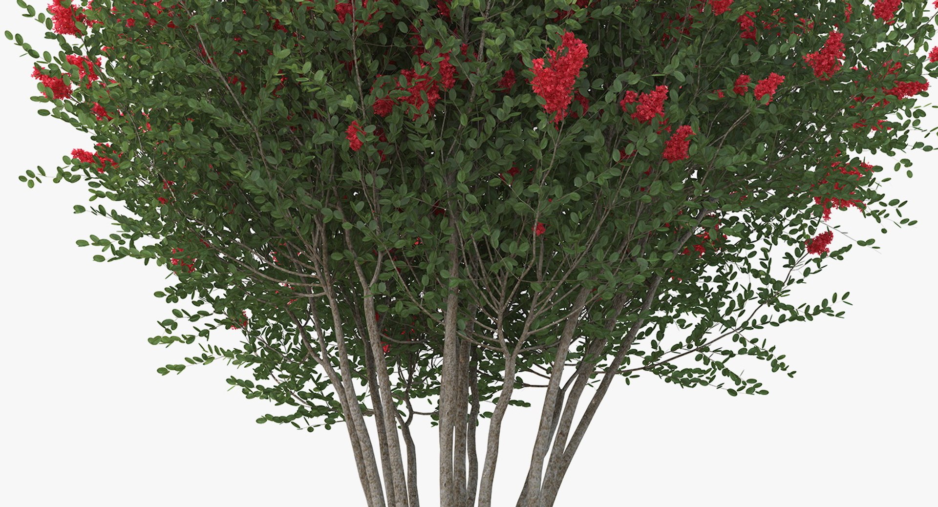 Bushes Collection 8 3D model https://p.turbosquid.com/ts-thumb/zp/4HtFkf/r1/bushescollection83dmodel034/jpg/1690790501/1920x1080/fit_q87/bf240084e1ef5b7ec5b1ee6804bc51d747df2222/bushescollection83dmodel034.jpg