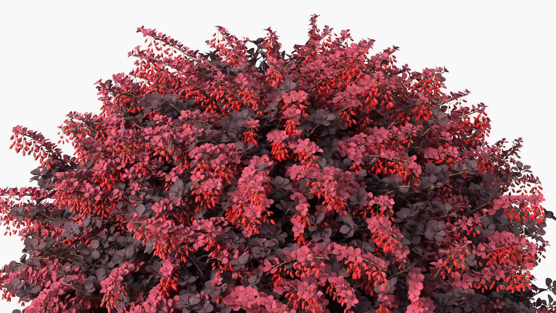 Bushes Collection 8 3D model https://p.turbosquid.com/ts-thumb/zp/4HtFkf/sQ/bushescollection83dmodel104/jpg/1690790811/1920x1080/fit_q87/1eda878b6015f4c0f1e971fdbdab352d78455ae1/bushescollection83dmodel104.jpg