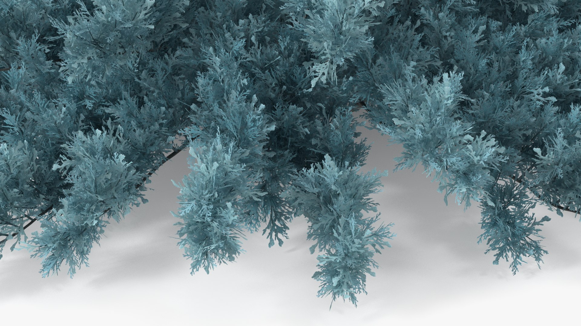 Bushes Collection 8 3D model https://p.turbosquid.com/ts-thumb/zp/4HtFkf/uV/bushescollection83dmodel069/jpg/1690790654/1920x1080/fit_q87/d92eaa67fba6720cd5e472c593889cb616a96e8a/bushescollection83dmodel069.jpg