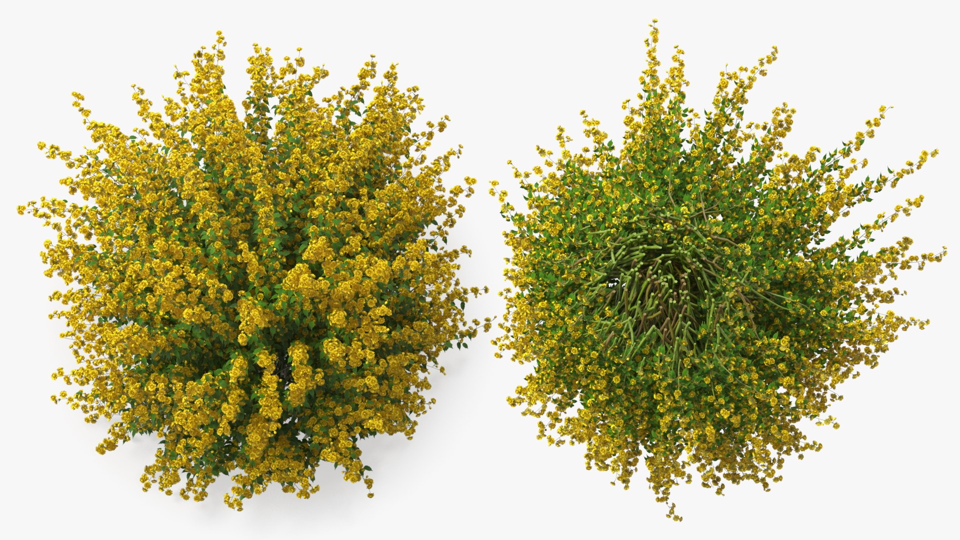 Bushes Collection 8 3D model https://p.turbosquid.com/ts-thumb/zp/4HtFkf/vL/bushescollection83dmodel021/jpg/1690790442/1920x1080/fit_q87/c96760b13b68b188b587e56eef91d8727048092f/bushescollection83dmodel021.jpg