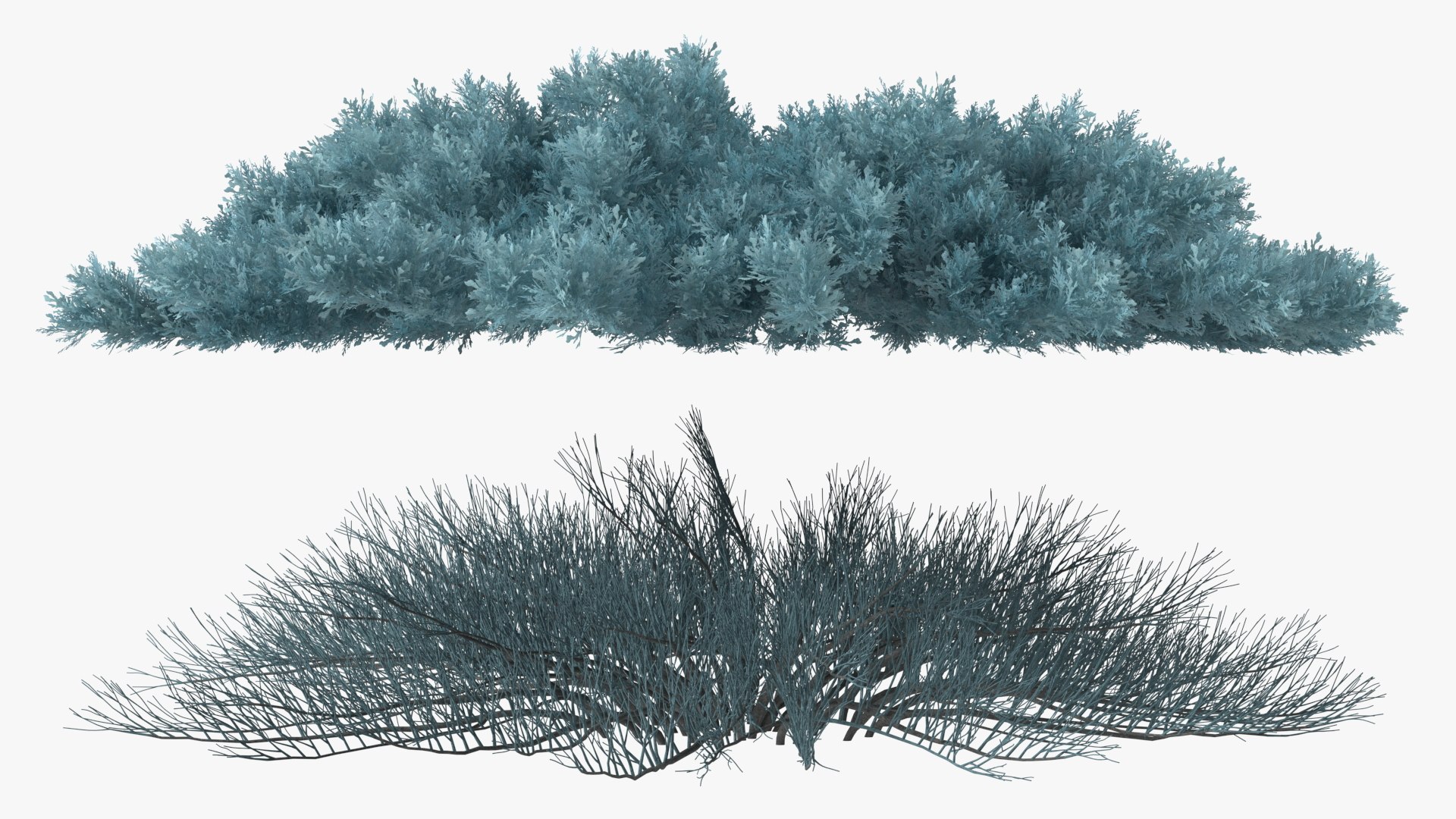 Bushes Collection 8 3D model https://p.turbosquid.com/ts-thumb/zp/4HtFkf/vr/bushescollection83dmodel066/jpg/1690790641/1920x1080/fit_q87/5996afcbfe3572194b07192b33f7f43fac2b8ef7/bushescollection83dmodel066.jpg