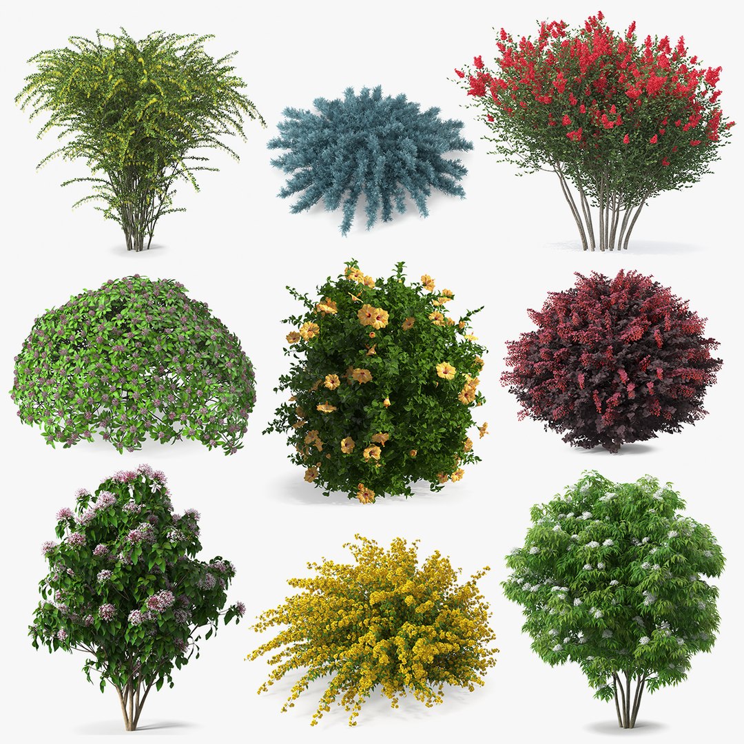 Bushes Collection 8 3D model preview
