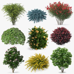 Bushes Collection 8