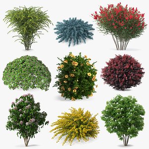 Bushes Collection 8